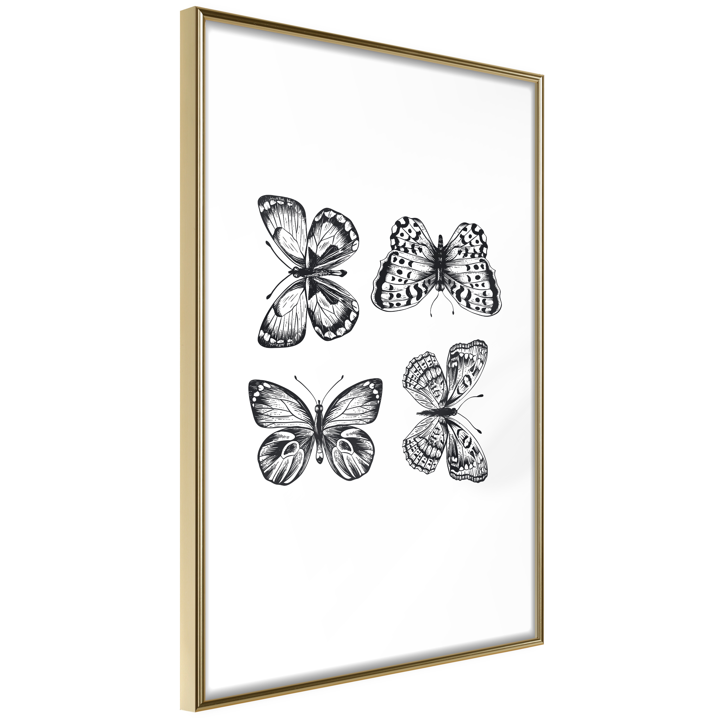 Affisch - Four Butterflies [Poster] 40x60 Guld ram, 40x60 cm