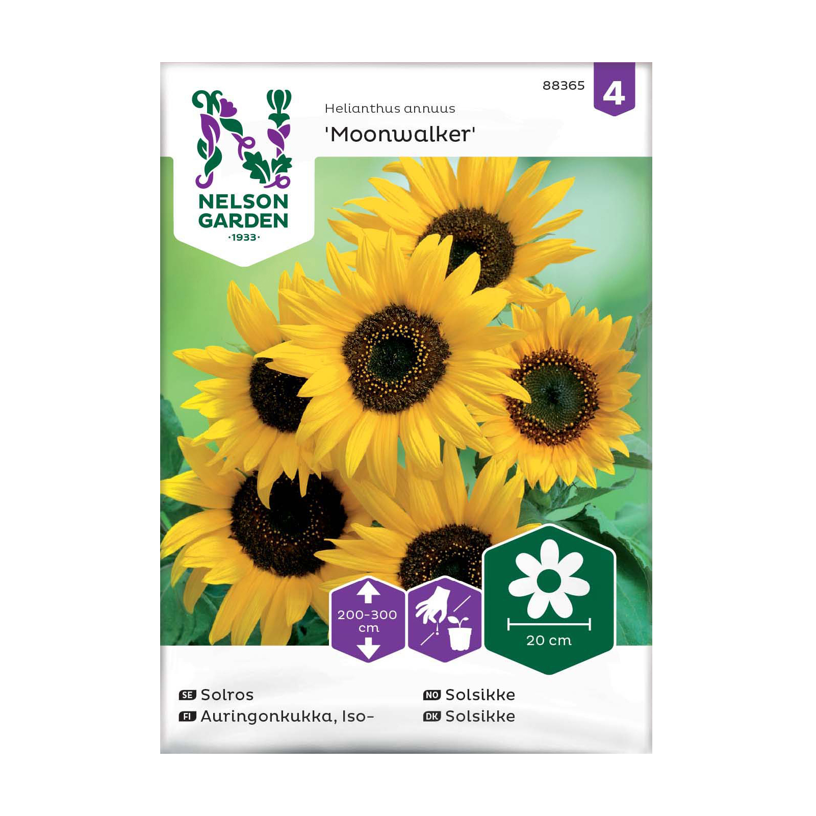 Frö Solros Nelson Garden Moonwalker Hög