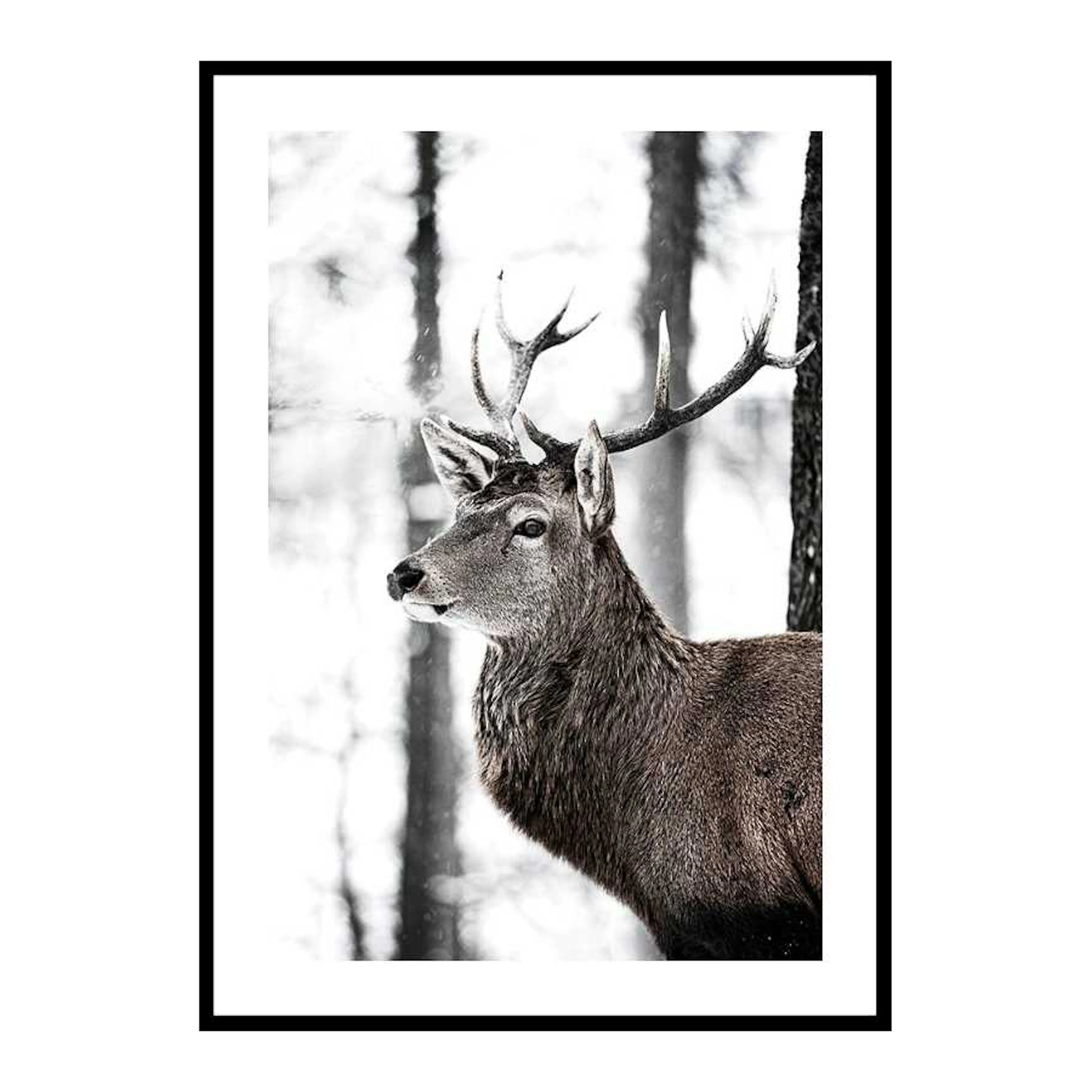 Stag In Forest 30x40 cm