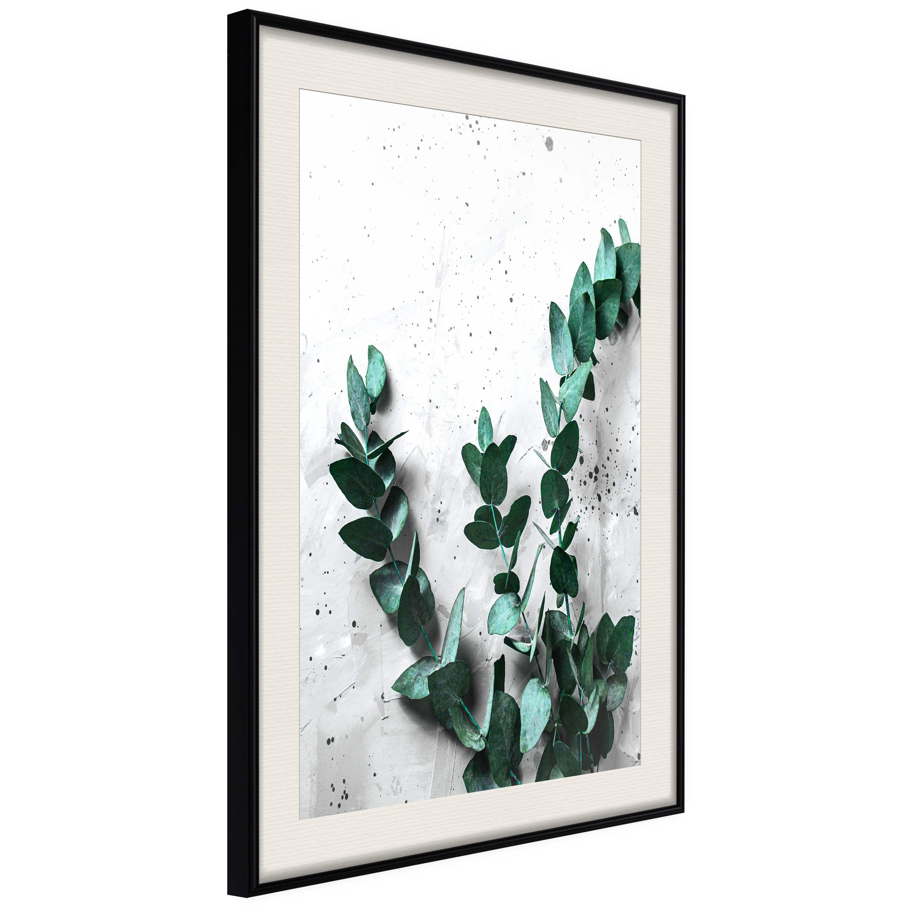 Affisch - Eucalyptus Scent [Poster] 20x30 Svart ram med passepartout, 20x30 cm