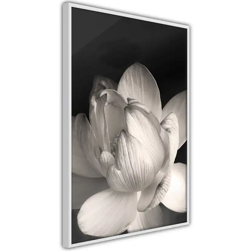 Poster Artgeist Affisch White Subtlety