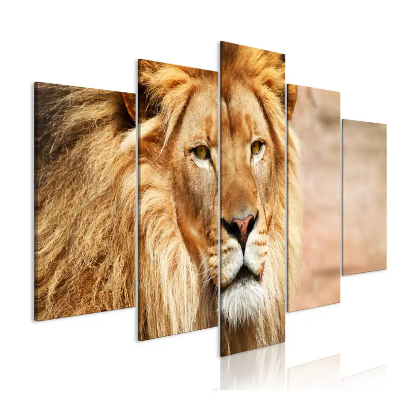 Tavla Arkiio The King Of Beasts Wide Orange 5 delar