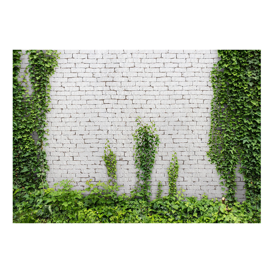 Fototapet Arkiio Creeping Ivy