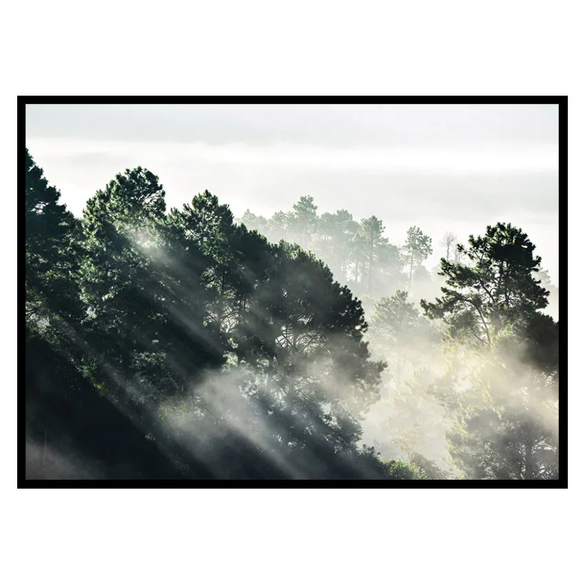 Poster Gallerix Sunlight Forest