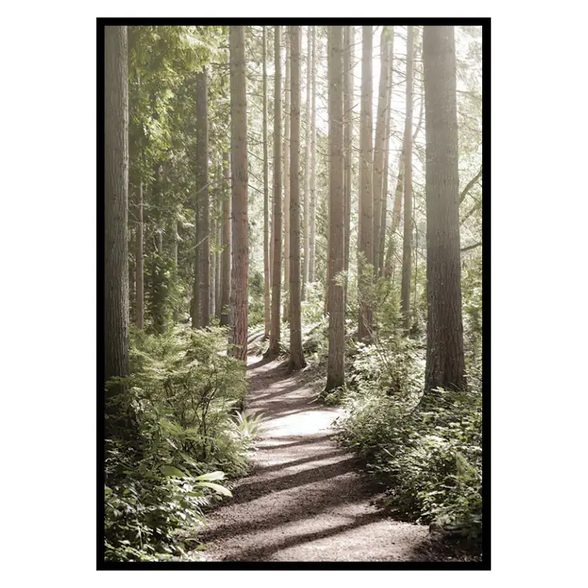 Poster Gallerix Green Forest