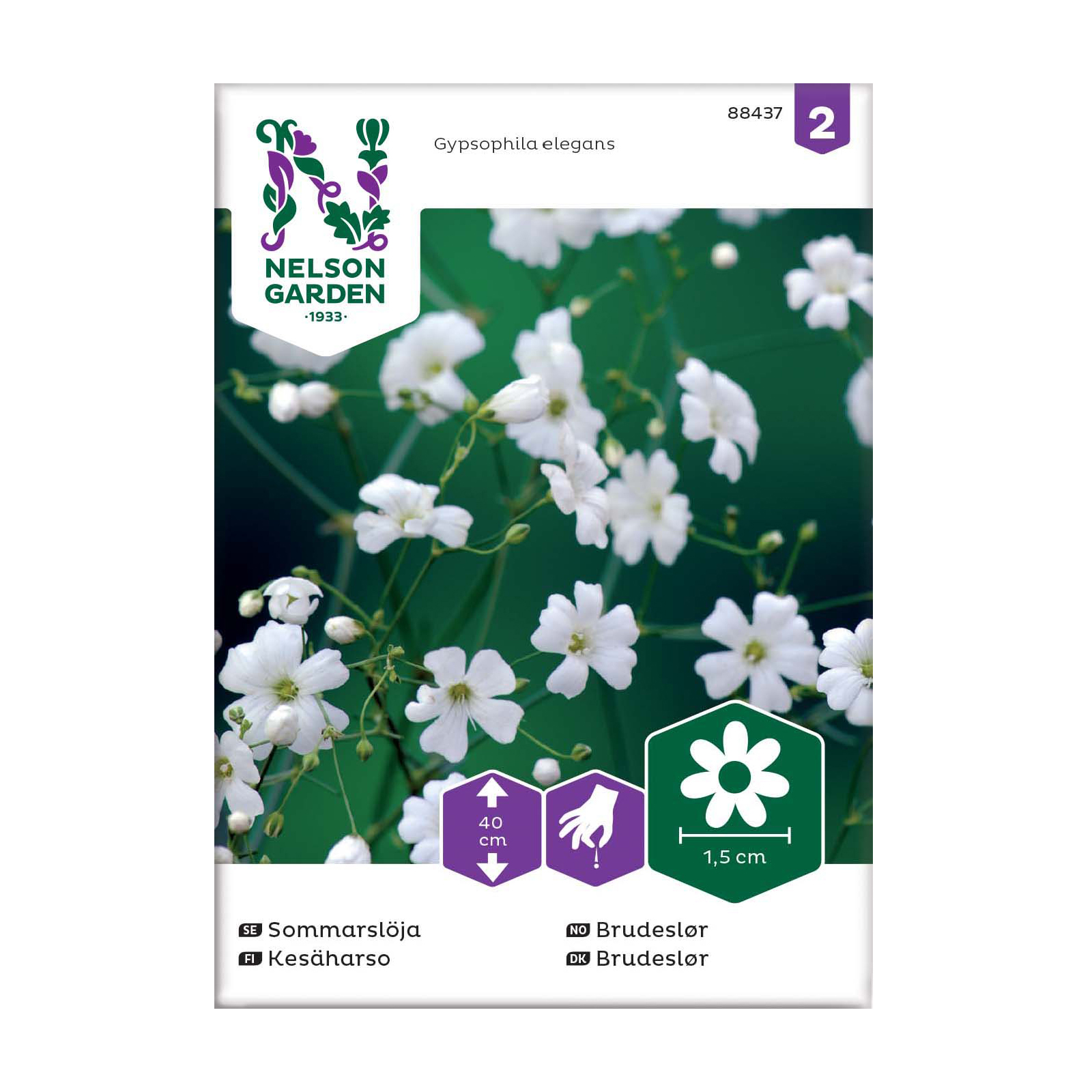 Frö Sommarslöja Nelson Garden Vit