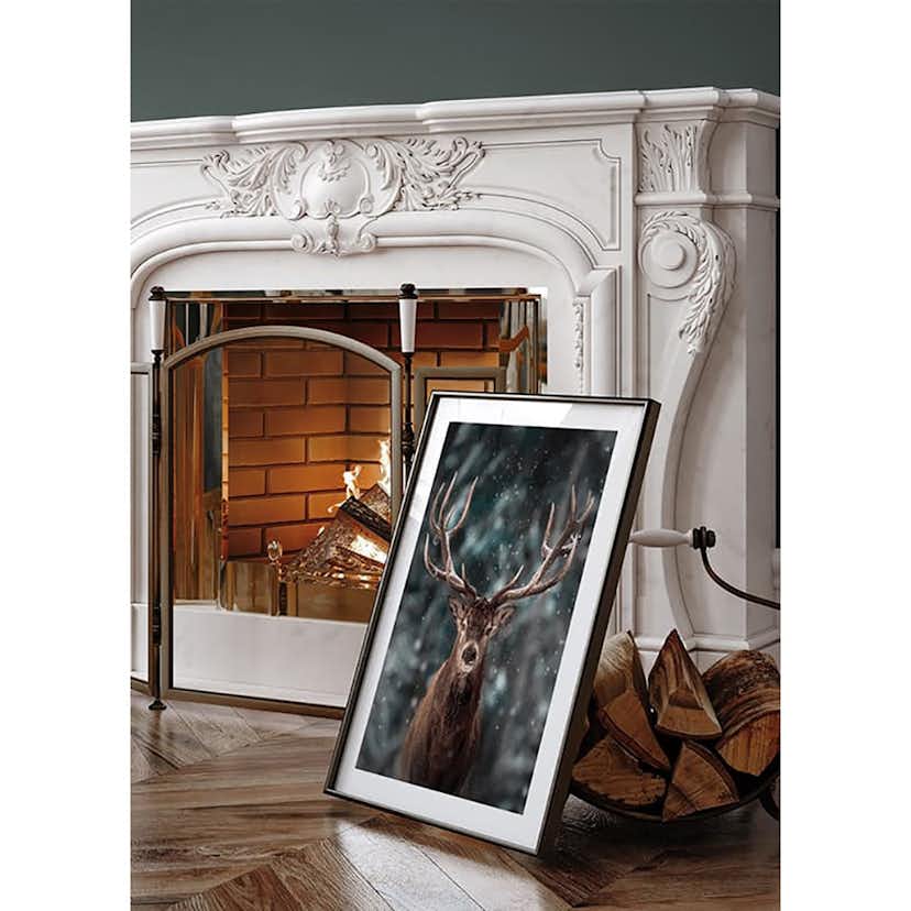 Poster Gallerix Majestic Deer