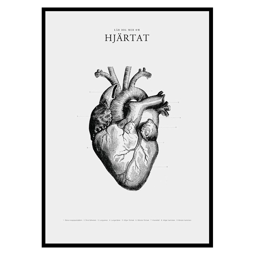 Poster Gallerix Hjärtat