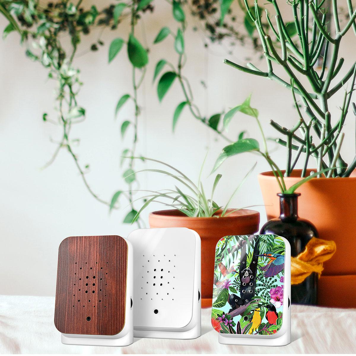Junglebox Speldosa Teak Style Djungeldjur/Teak Style