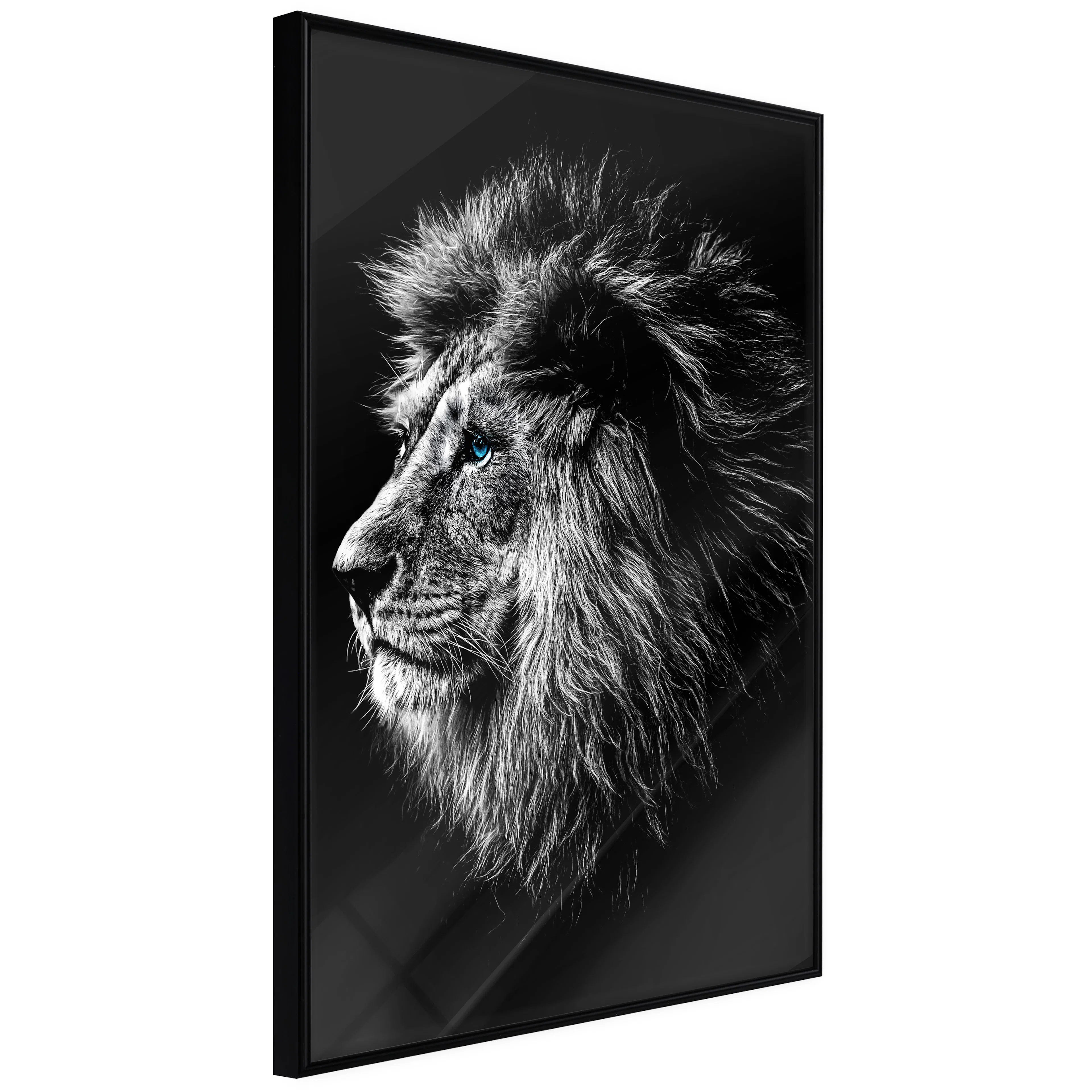 Affisch - Blue-eyed Lion [Poster] 40x60 Svart ram, 40x60 cm