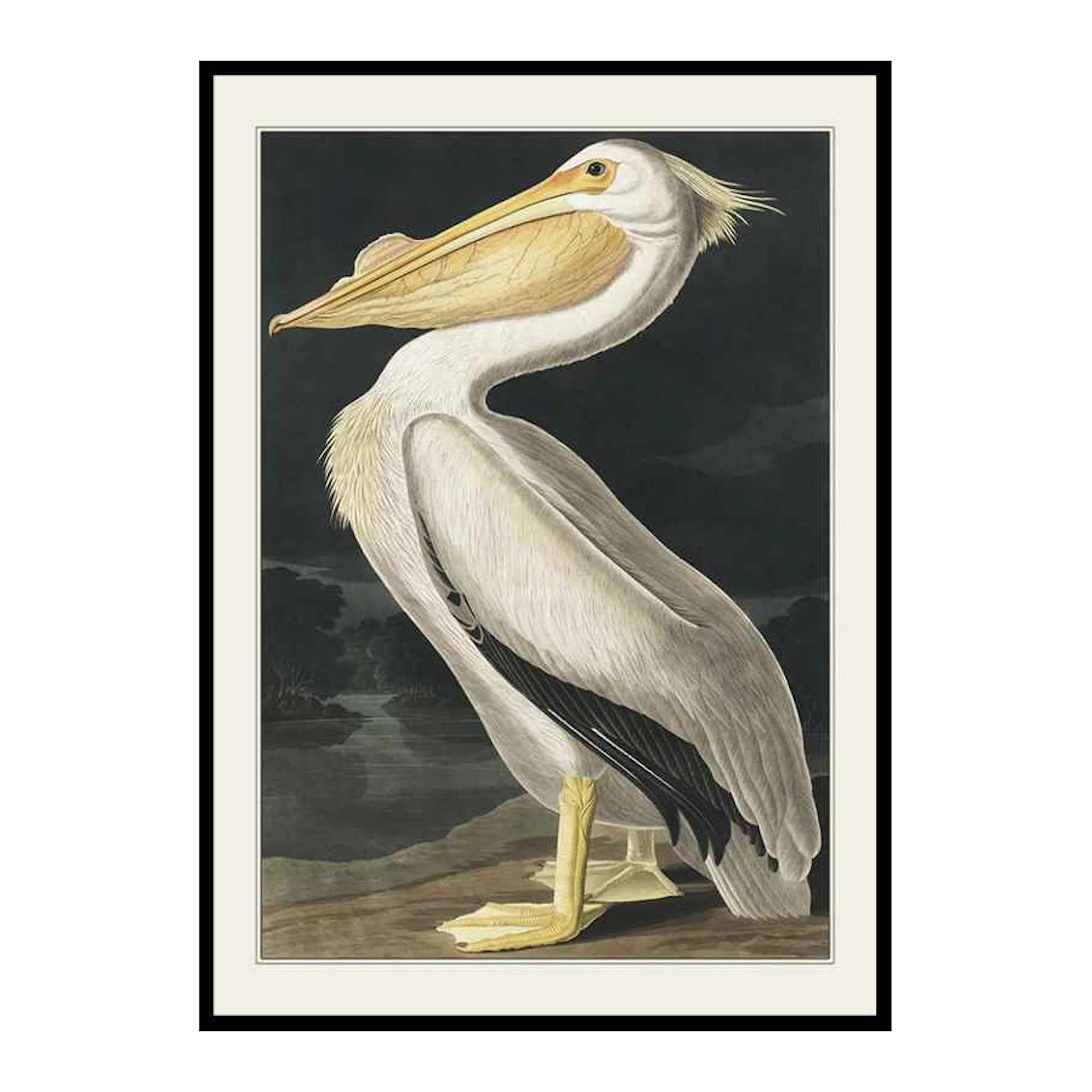 Pelican 1827 30x40 cm