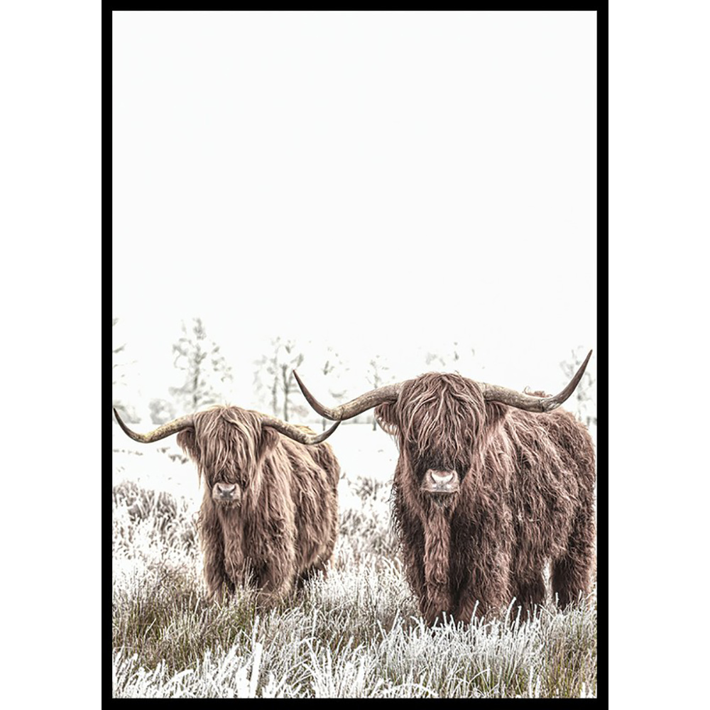 Poster Gallerix Scottish Highlanders No2