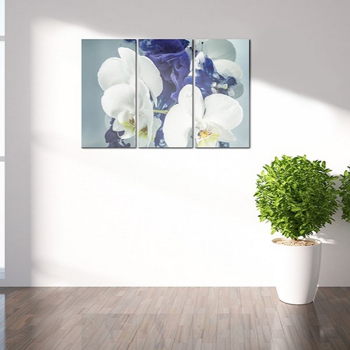 Tavla Arkiio Chimär Orkidéer