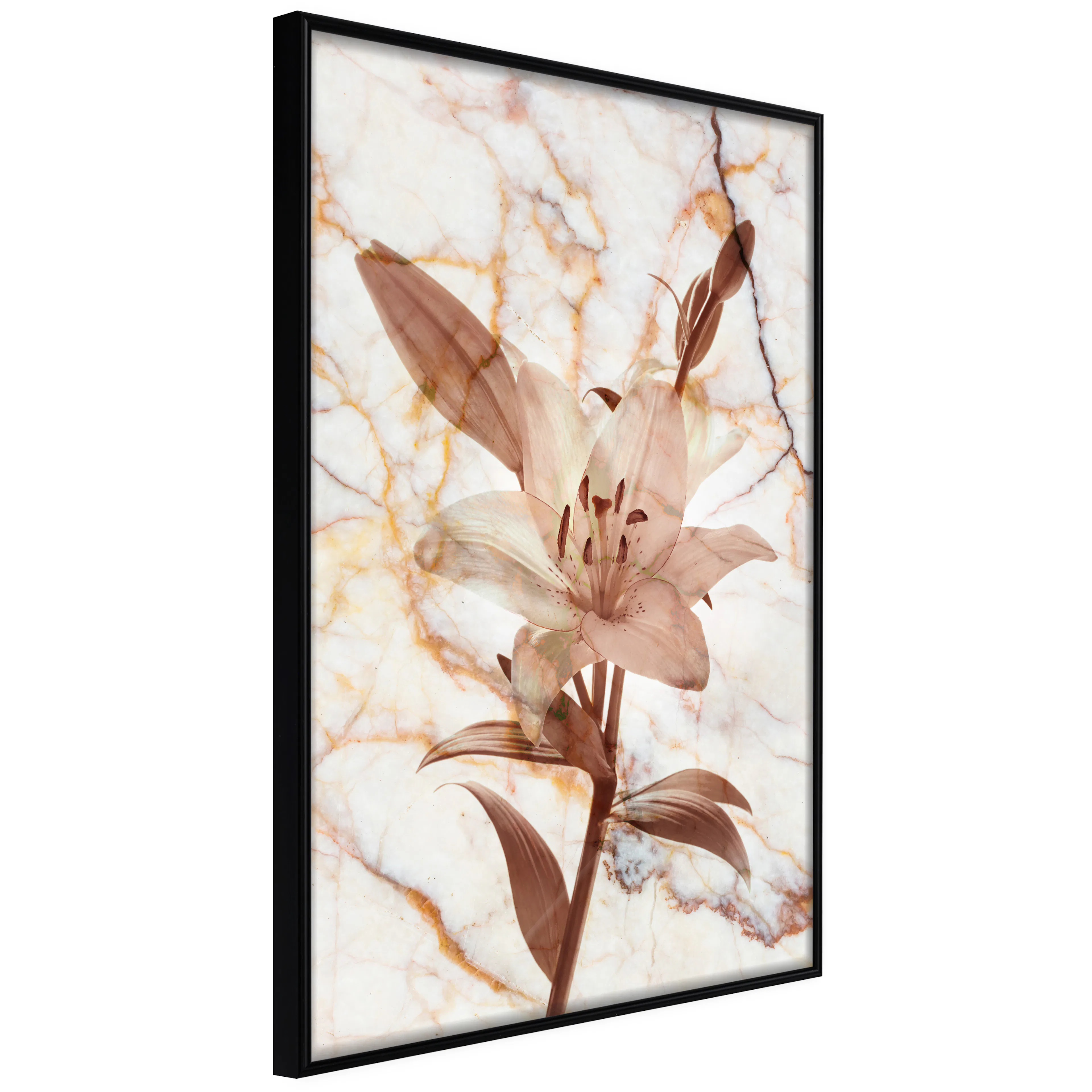 Affisch - Milan Lily [Poster] 40x60 Svart ram, 40x60 cm