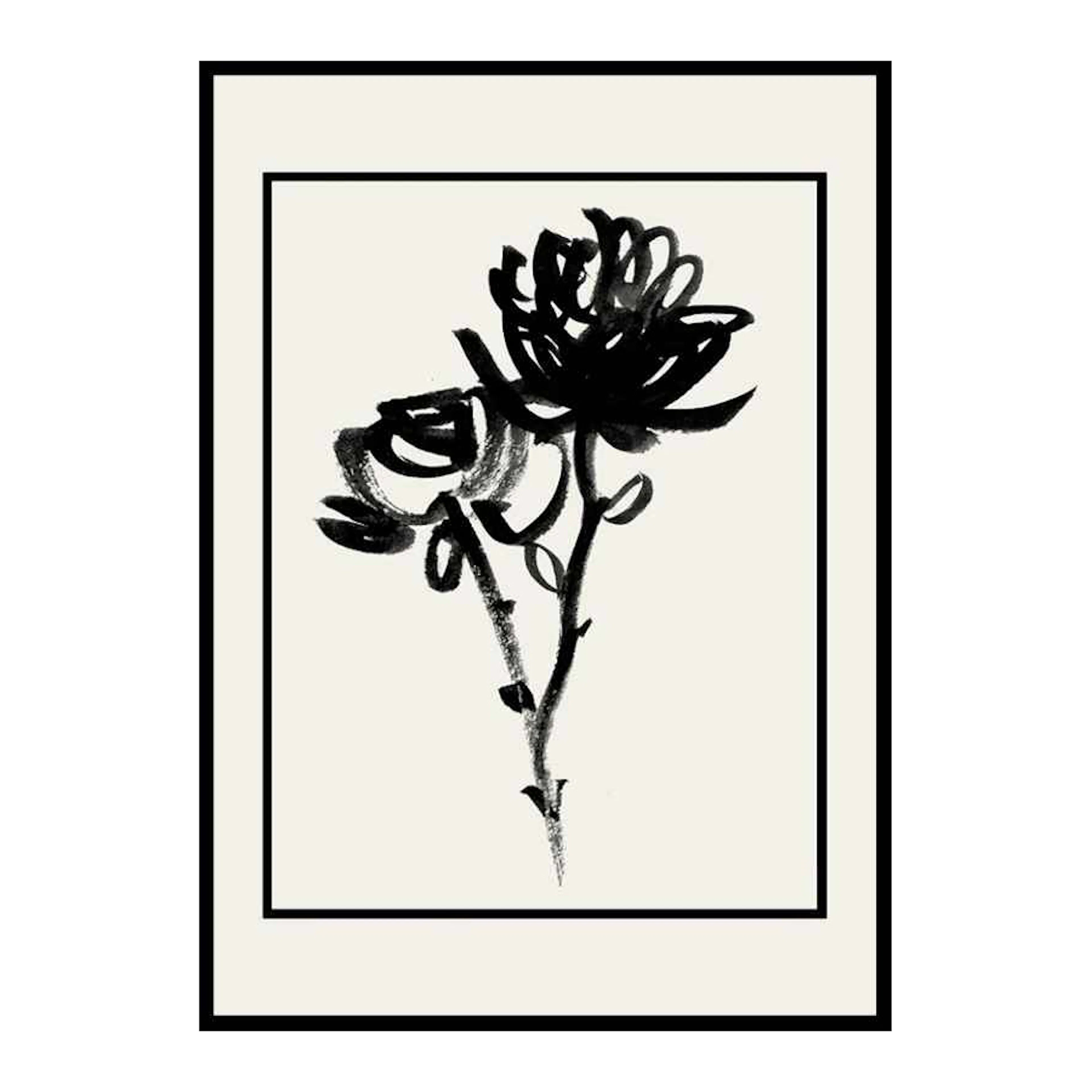 Poster Gallerix Black Flowers