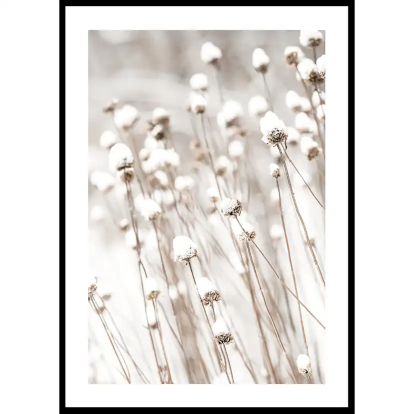 Poster Gallerix Snow Covered Dried Flowers