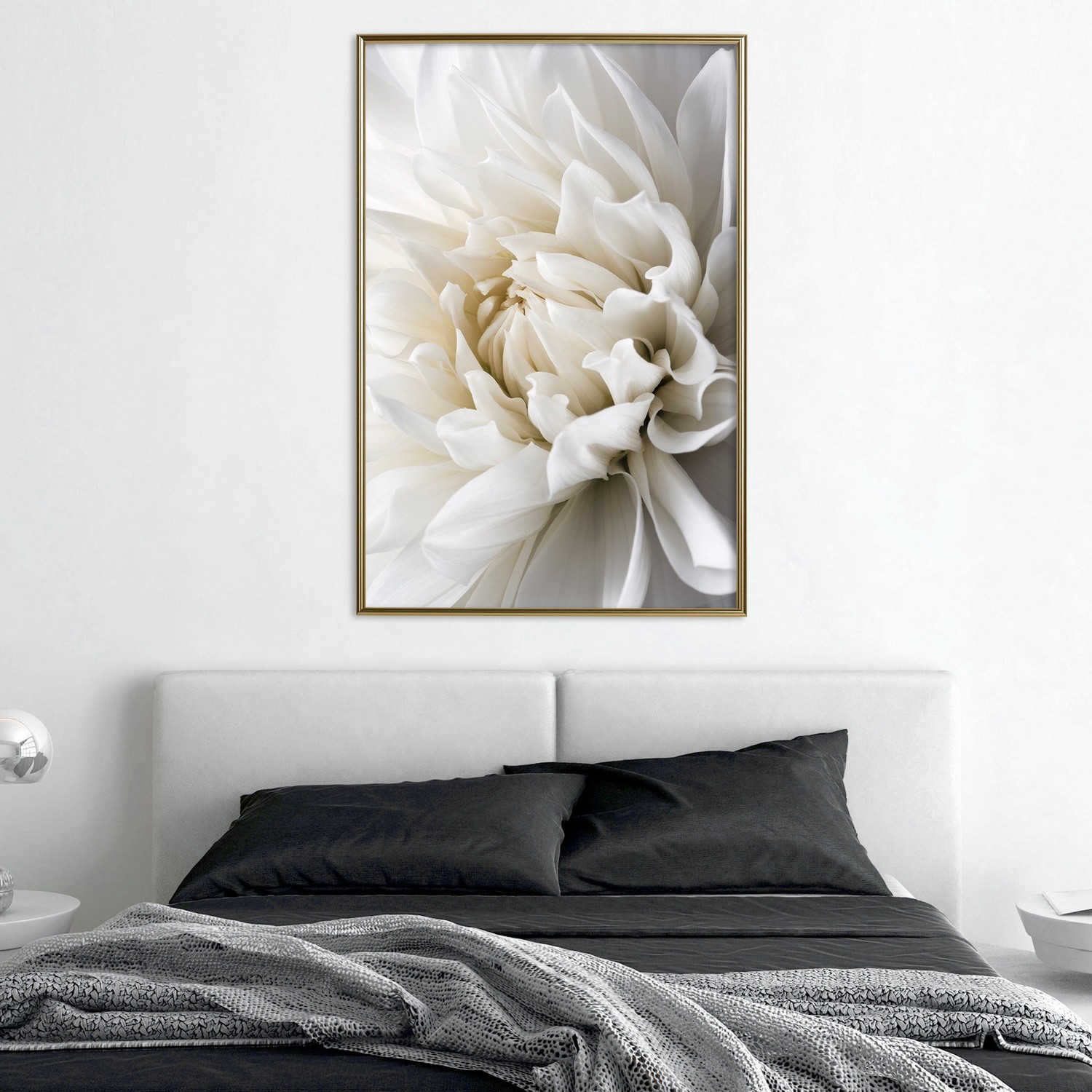 Affisch - White Dahlia [Poster] 20x30 Guld ram, 20x30 cm
