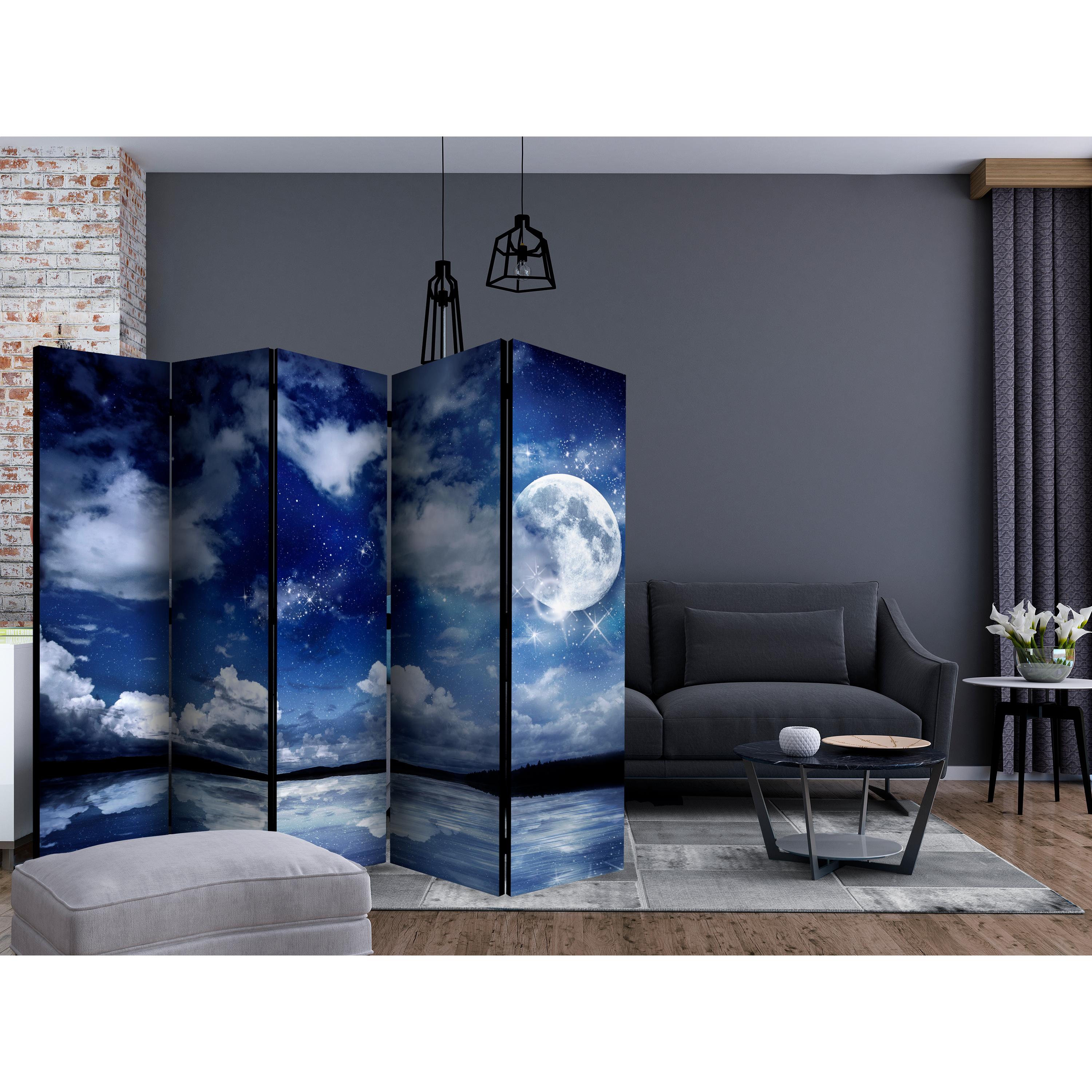 Rumsavdelare Arkiio Magic Night II 225x172 cm