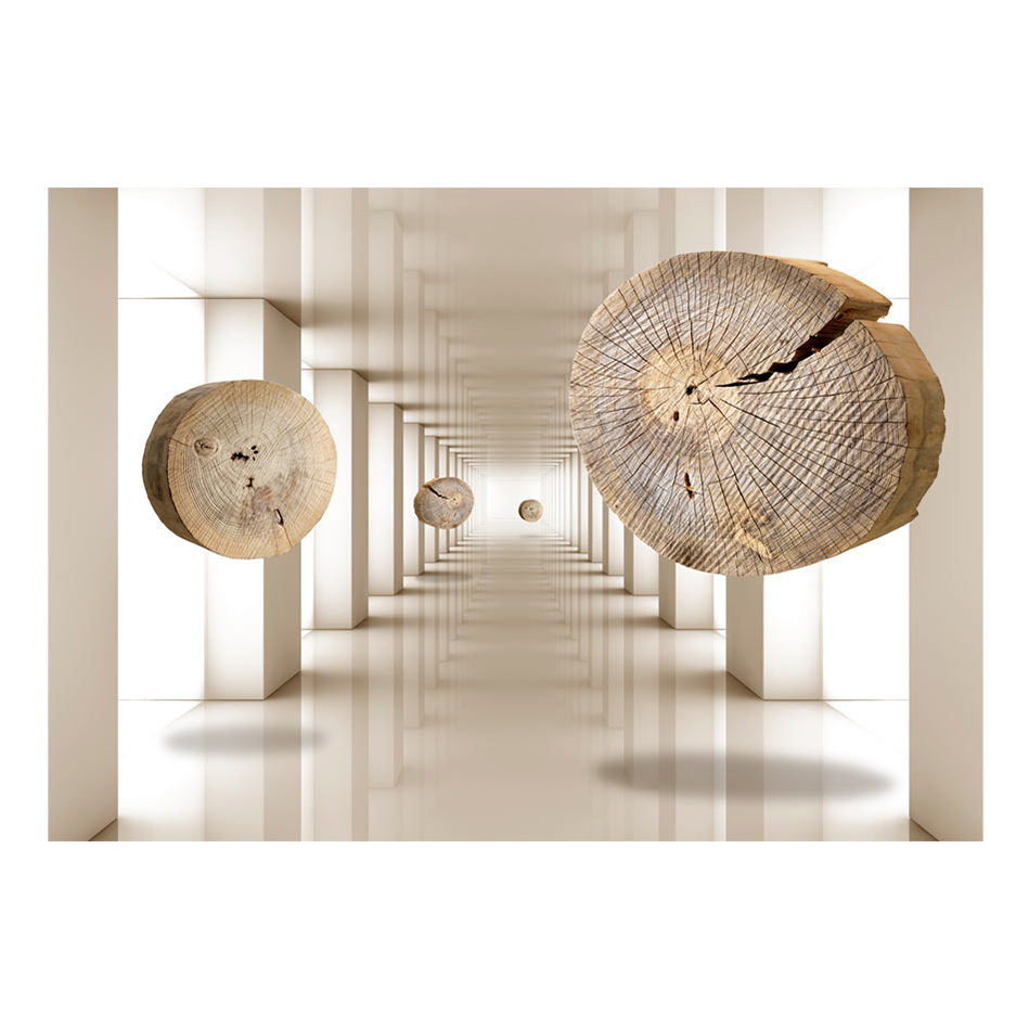 Fototapet Arkiio Flying Discs Of Wood