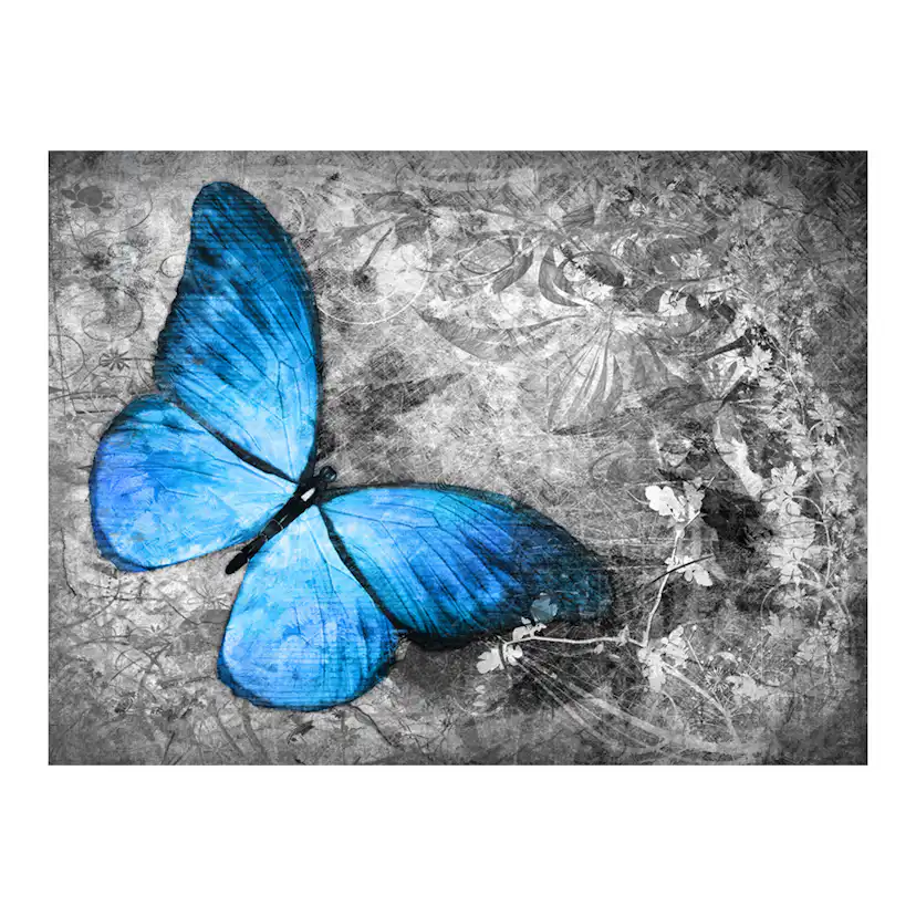 Fototapet Arkiio Blue Butterfly