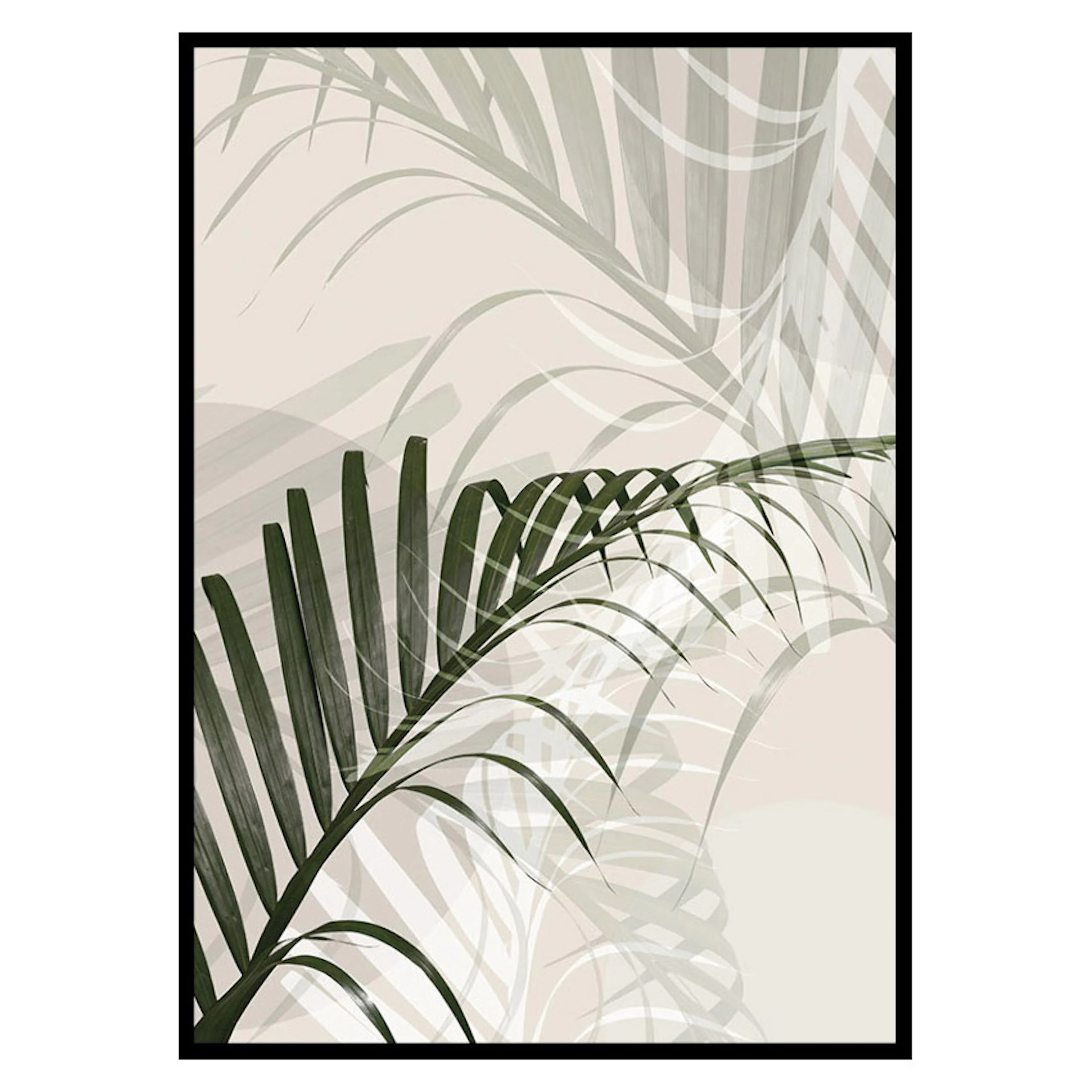 Poster Gallerix Abstract Palm Leaves No2