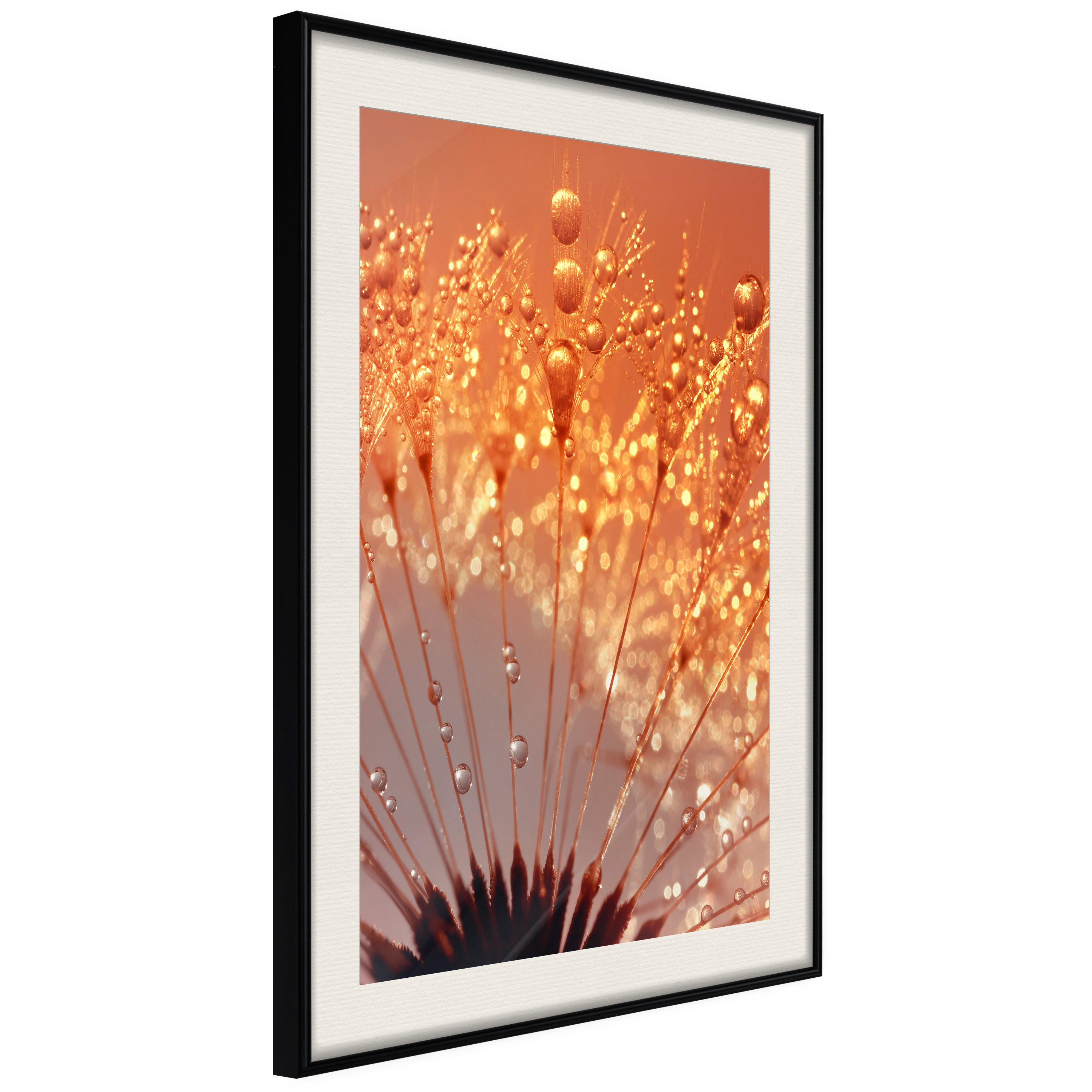 Affisch - Autumn Dandelion [Poster] 40x60 Svart ram med passepartout, 40x60 cm