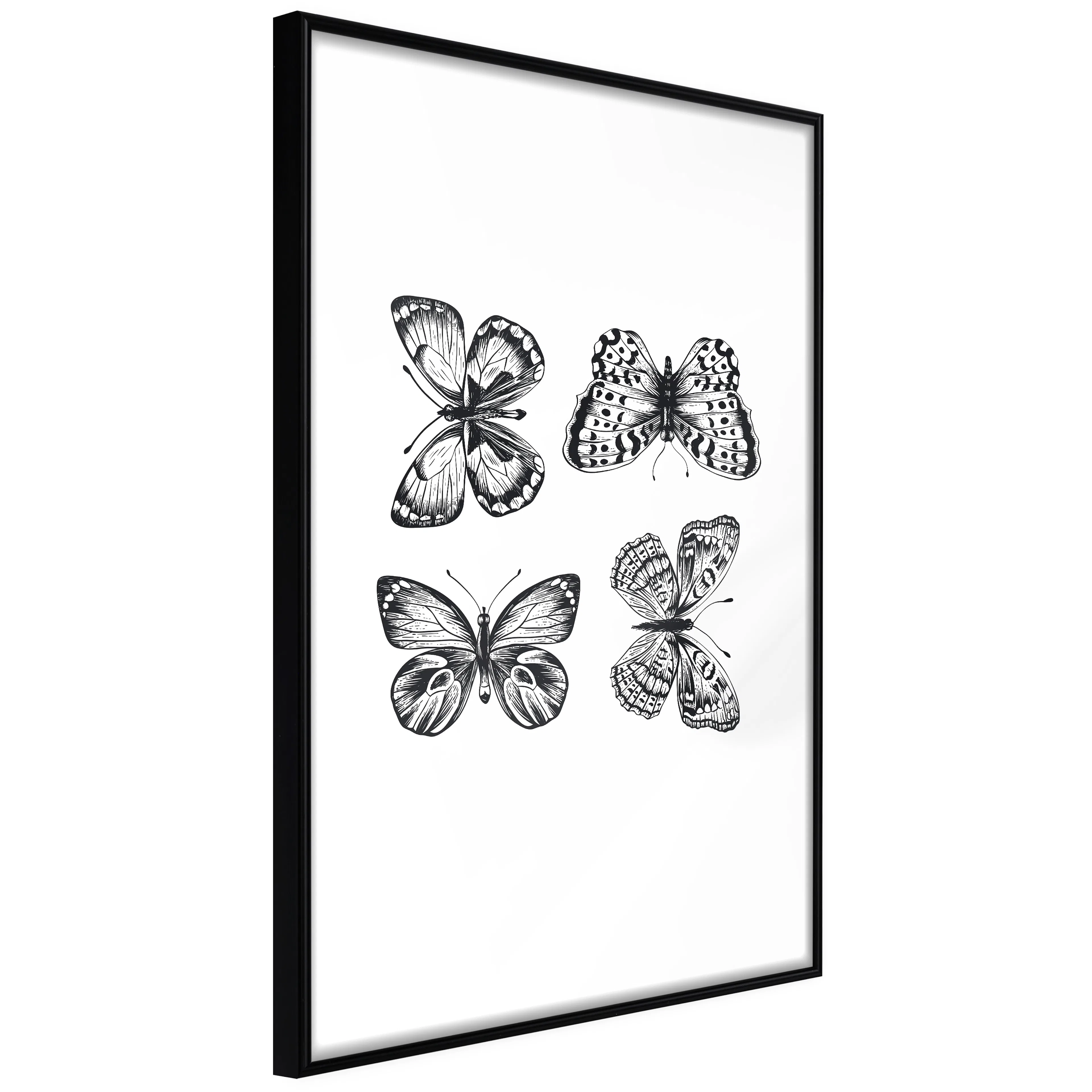 Affisch - Four Butterflies [Poster] 40x60 Svart ram, 40x60 cm