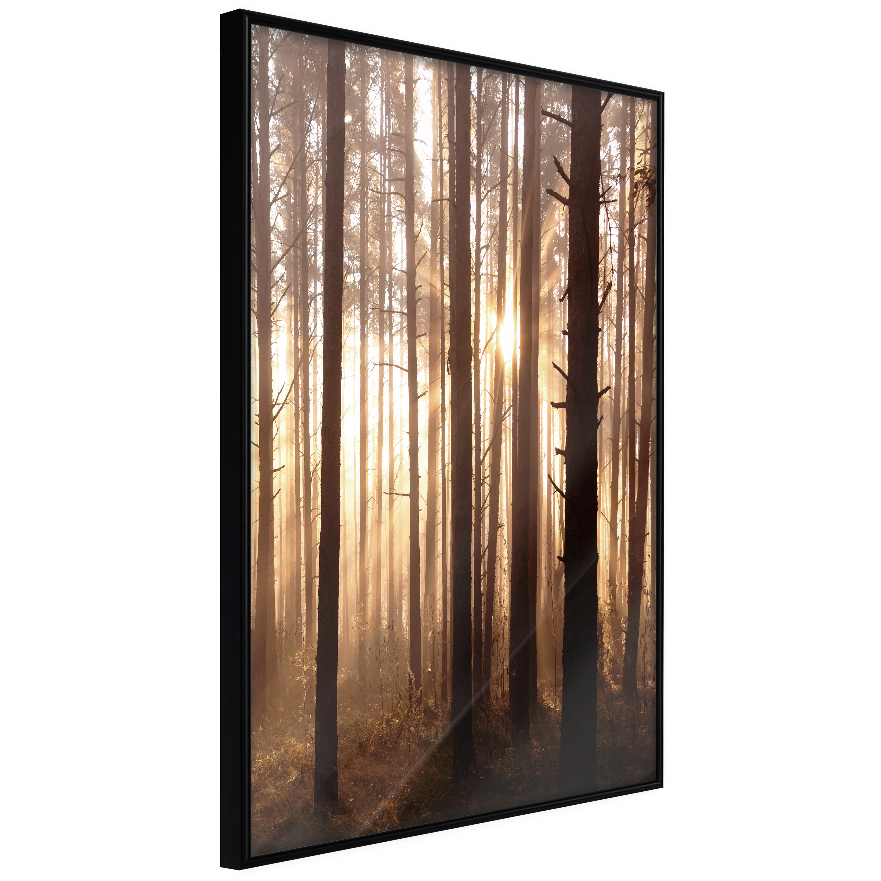 Poster Artgeist Affisch Forest Paths