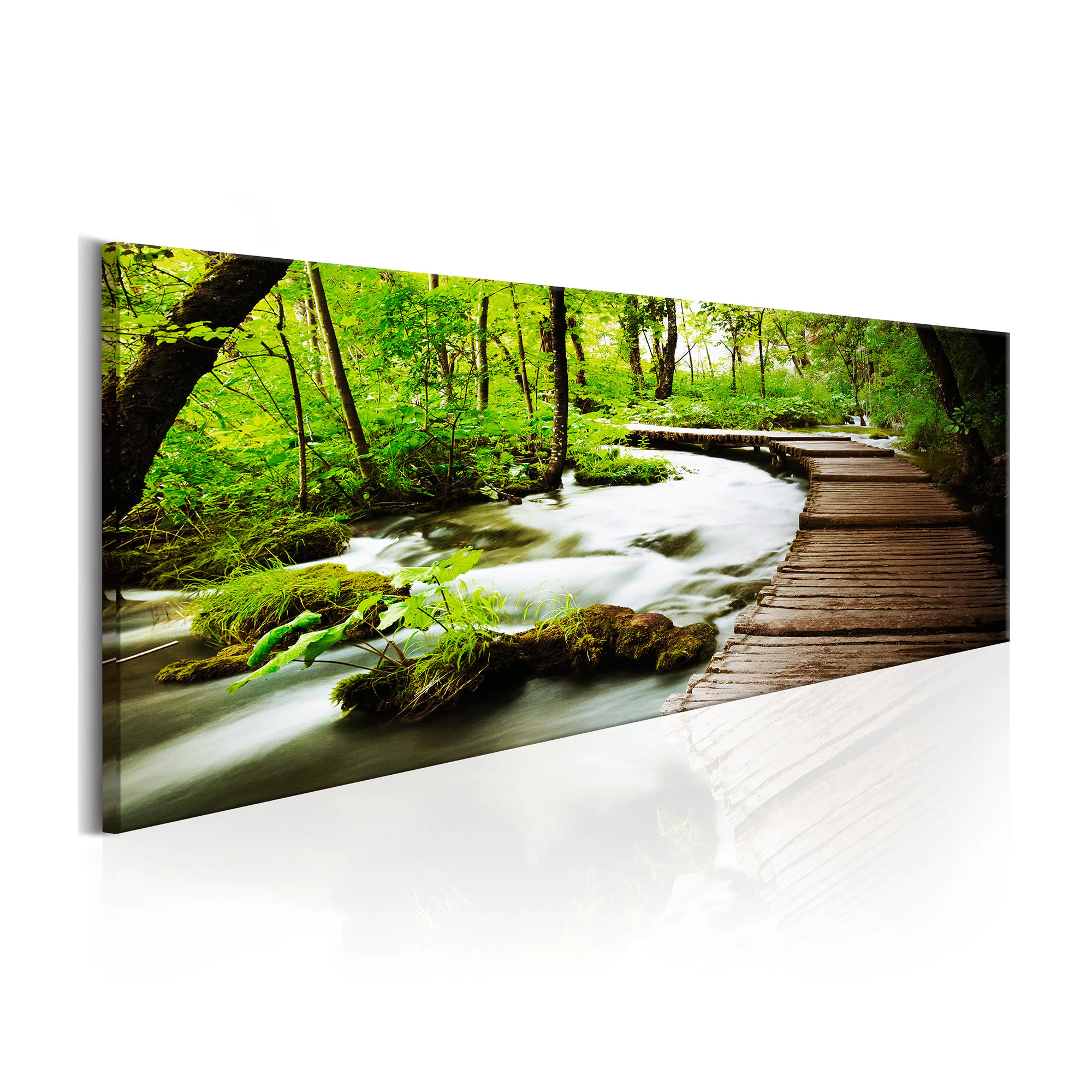 Tavla Arkiio Forest Song