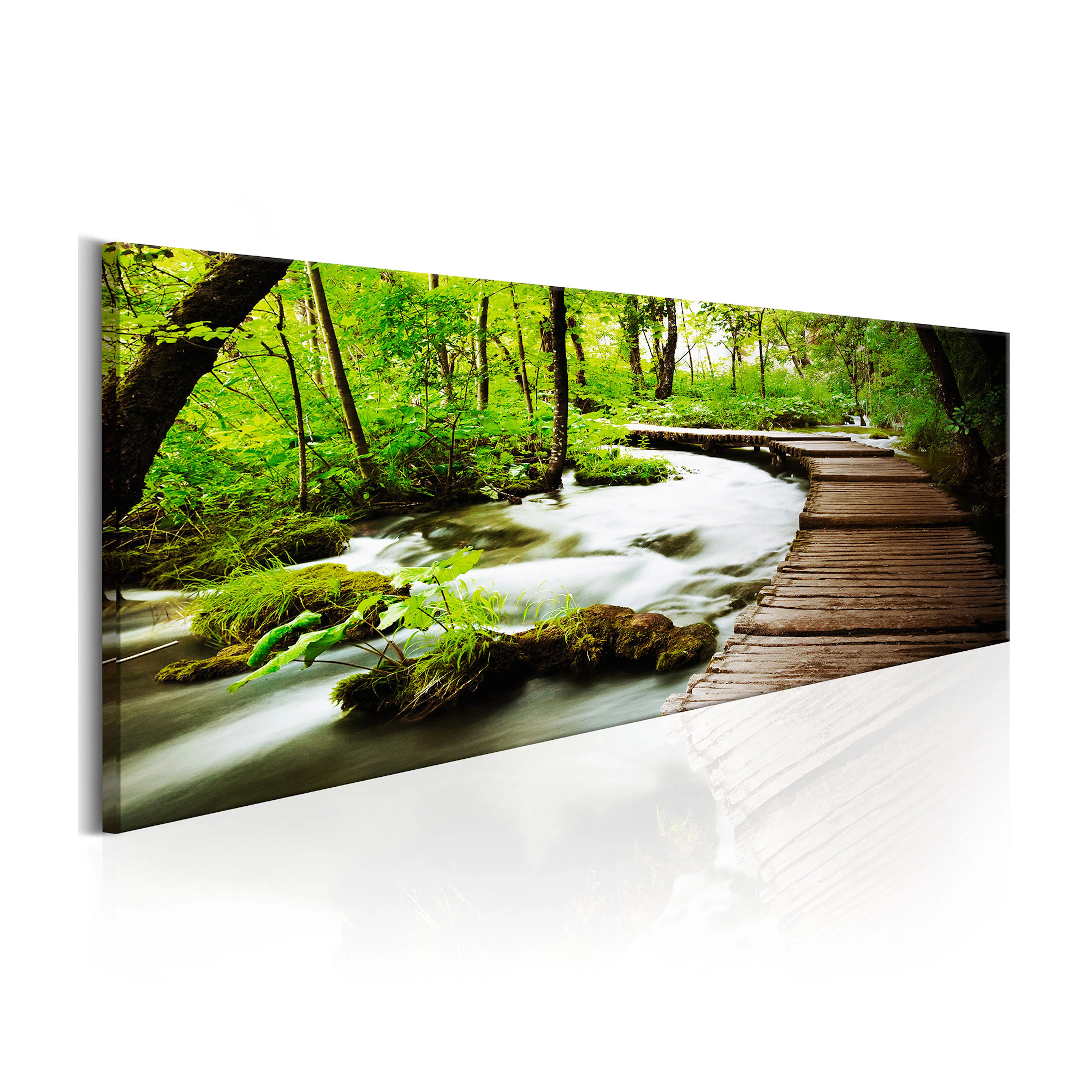 Tavla Arkiio Forest Song