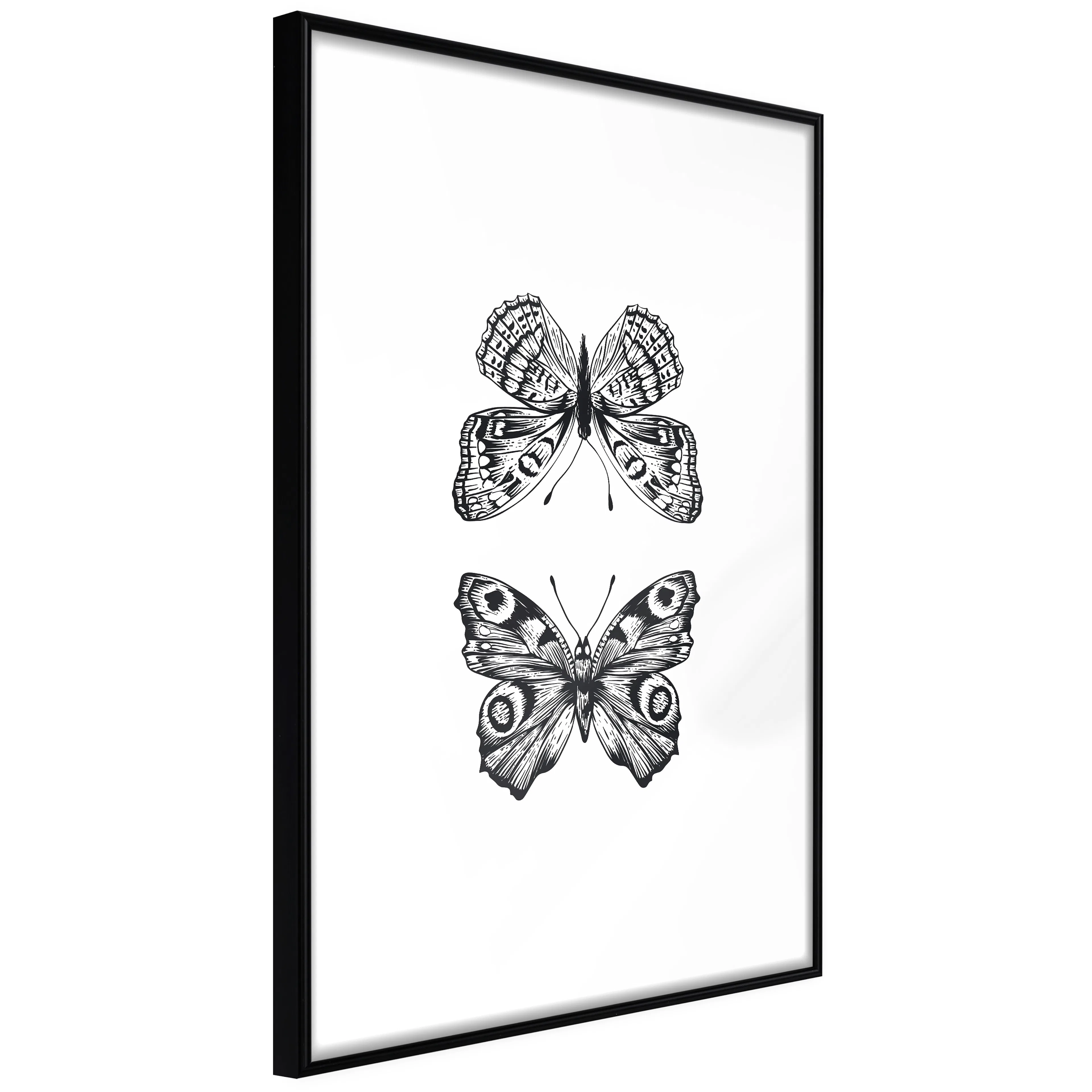 Affisch - Two Butterflies [Poster] 40x60 Svart ram, 40x60 cm