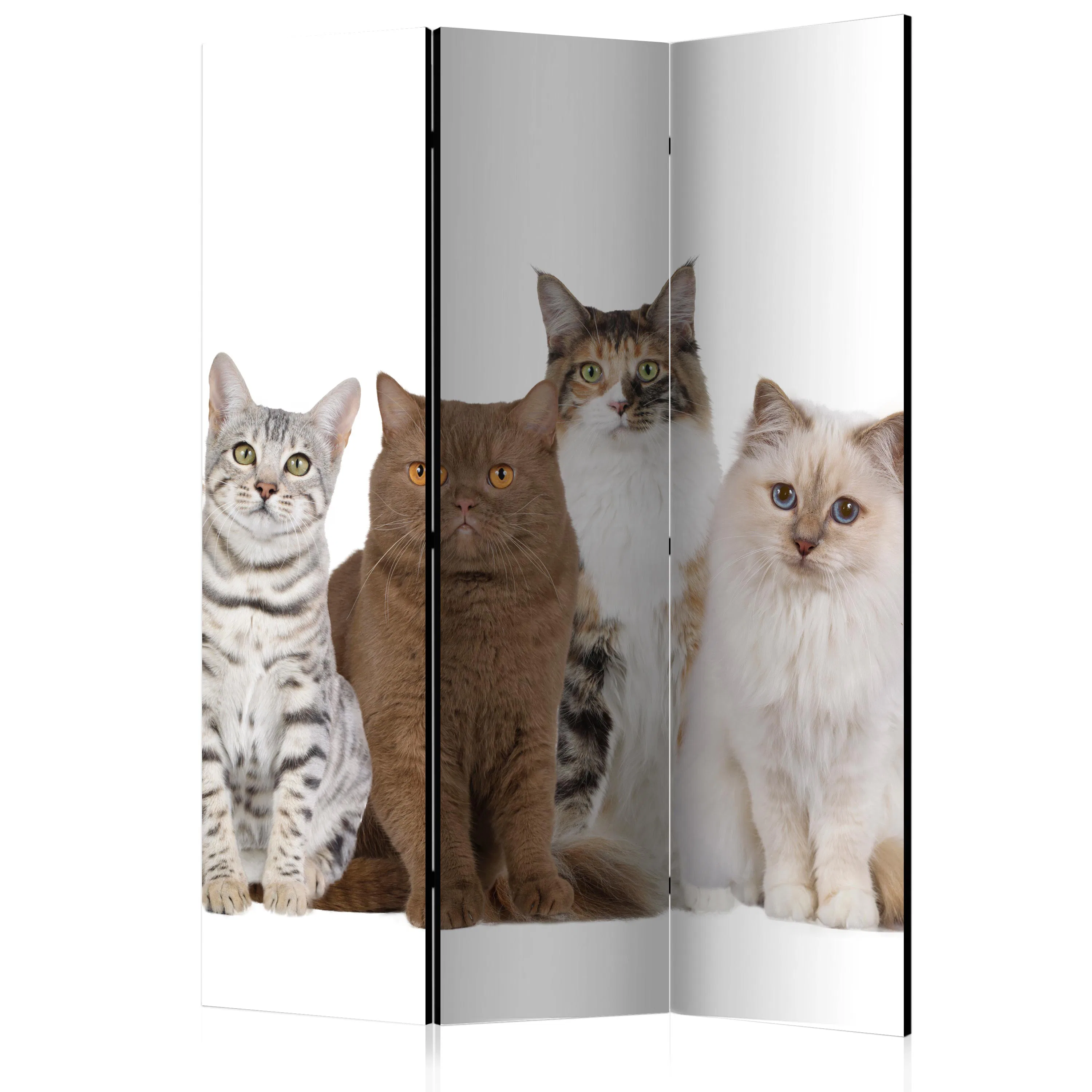 Rumsavdelare Arkiio Sweet Cats 135x172 cm