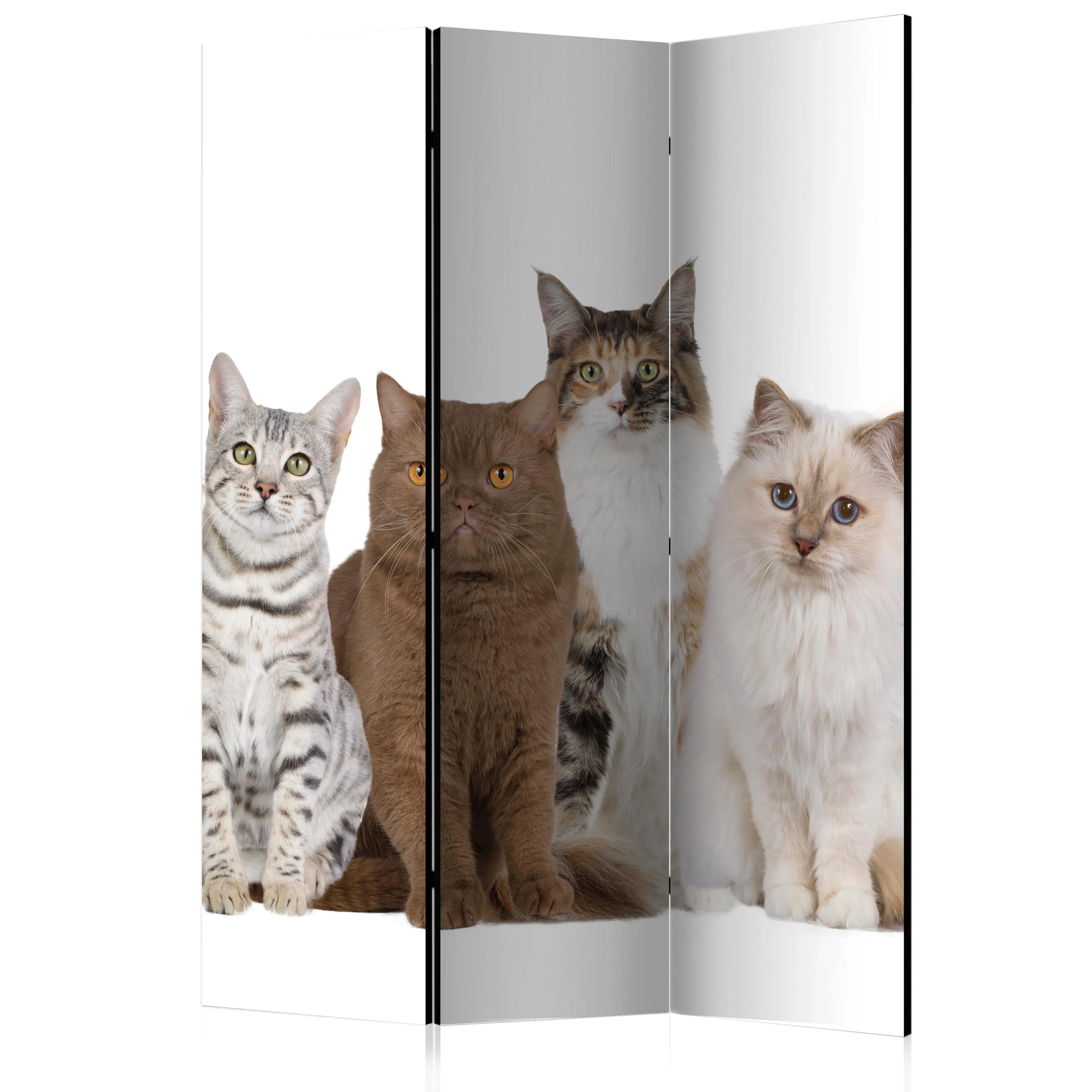 Rumsavdelare Arkiio Sweet Cats 135x172 cm