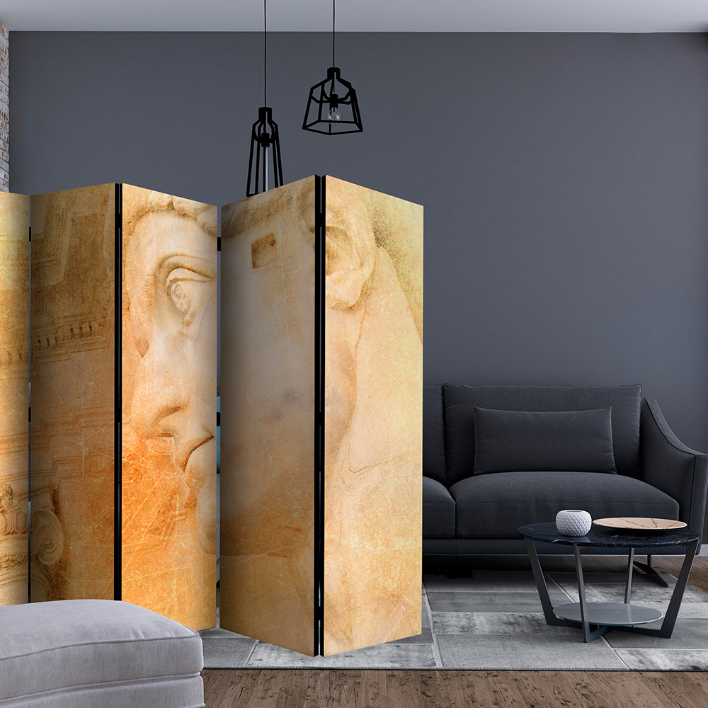 Rumsavdelare Arkiio Greek God II 225x172 cm