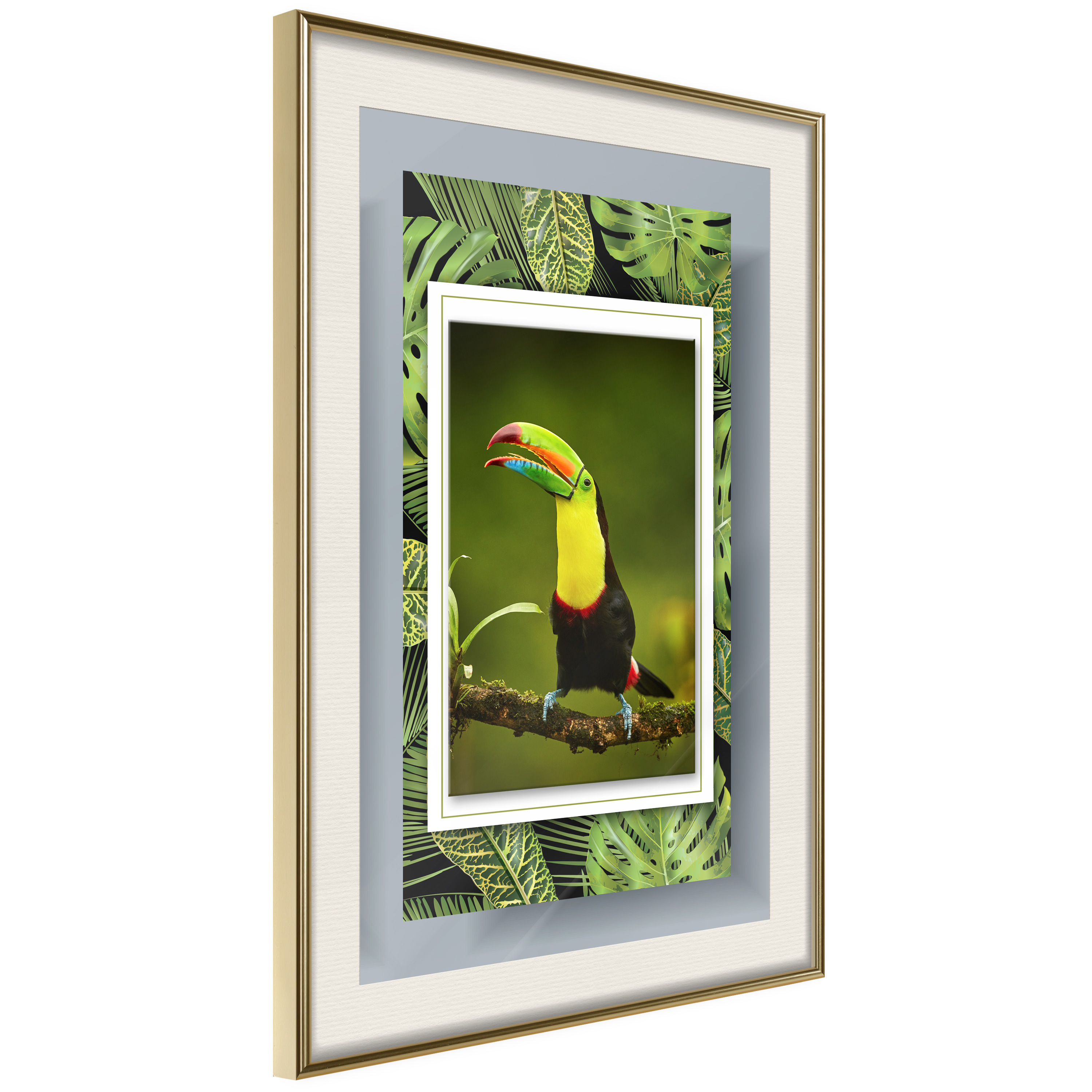 Affisch - Toucan [Poster] 40x60 Guld ram med passepartout, 40x60 cm
