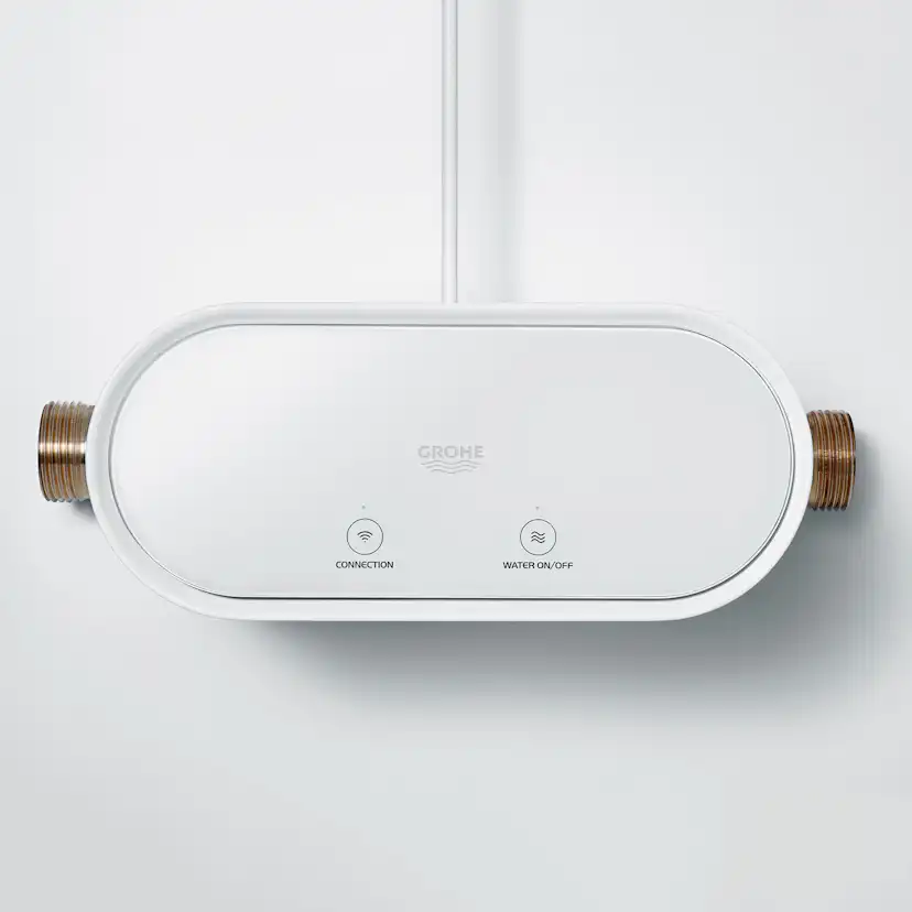 Vattenfelsbrytare Grohe Sense Guard 22500