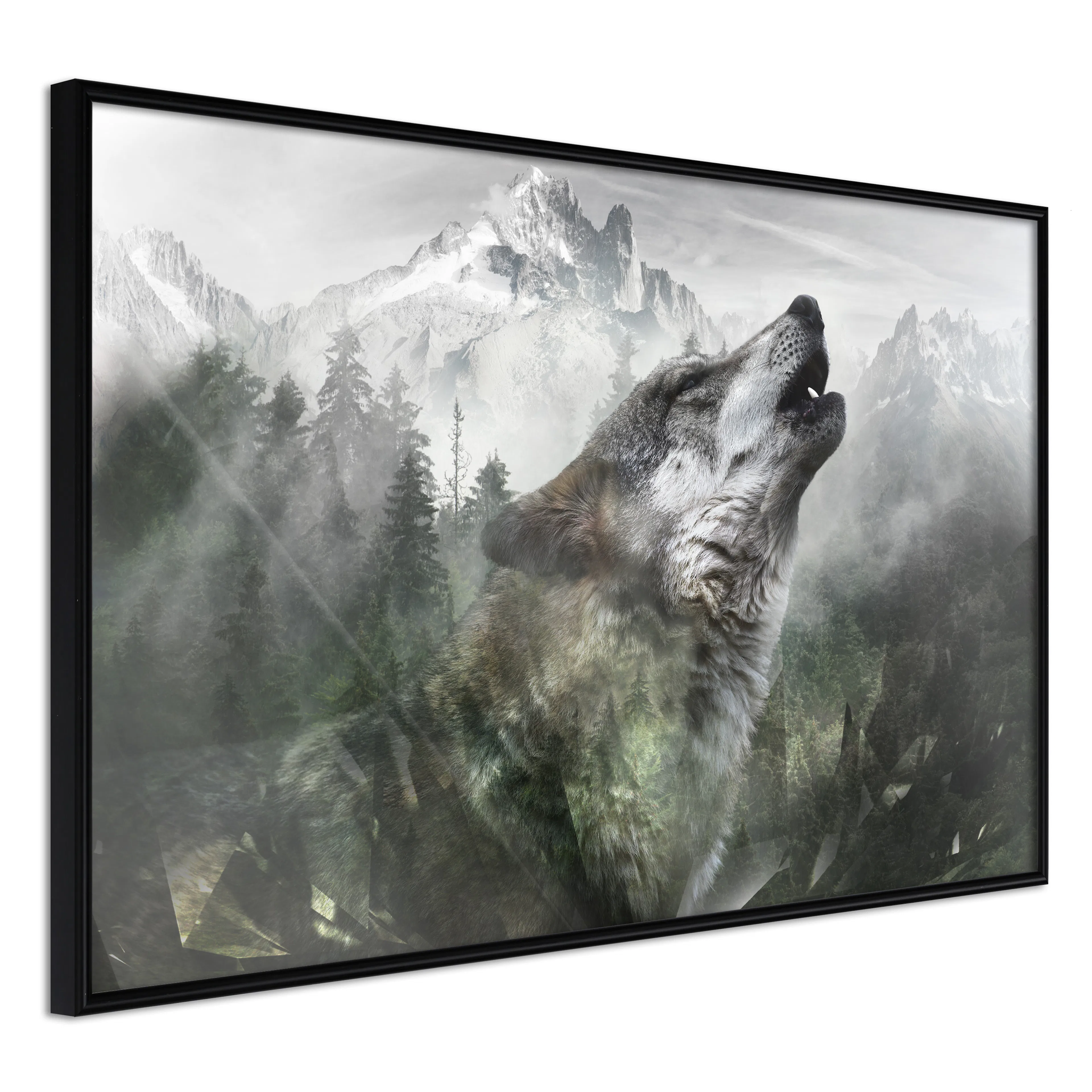Affisch - Howling Wolf [Poster] 60x40 Svart ram, 60x40 cm