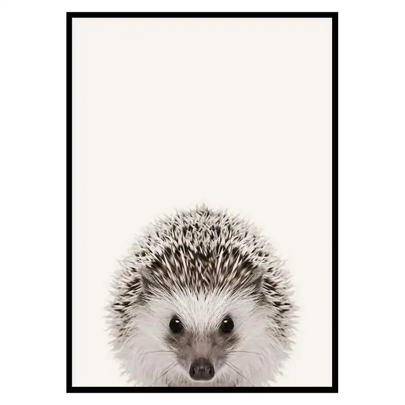 Poster Gallerix Baby Hedgehog