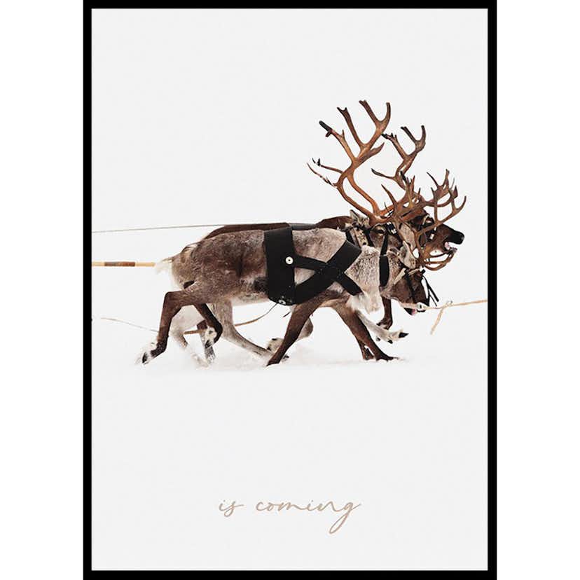 Poster Gallerix Santa Claus And Reindeer Part2