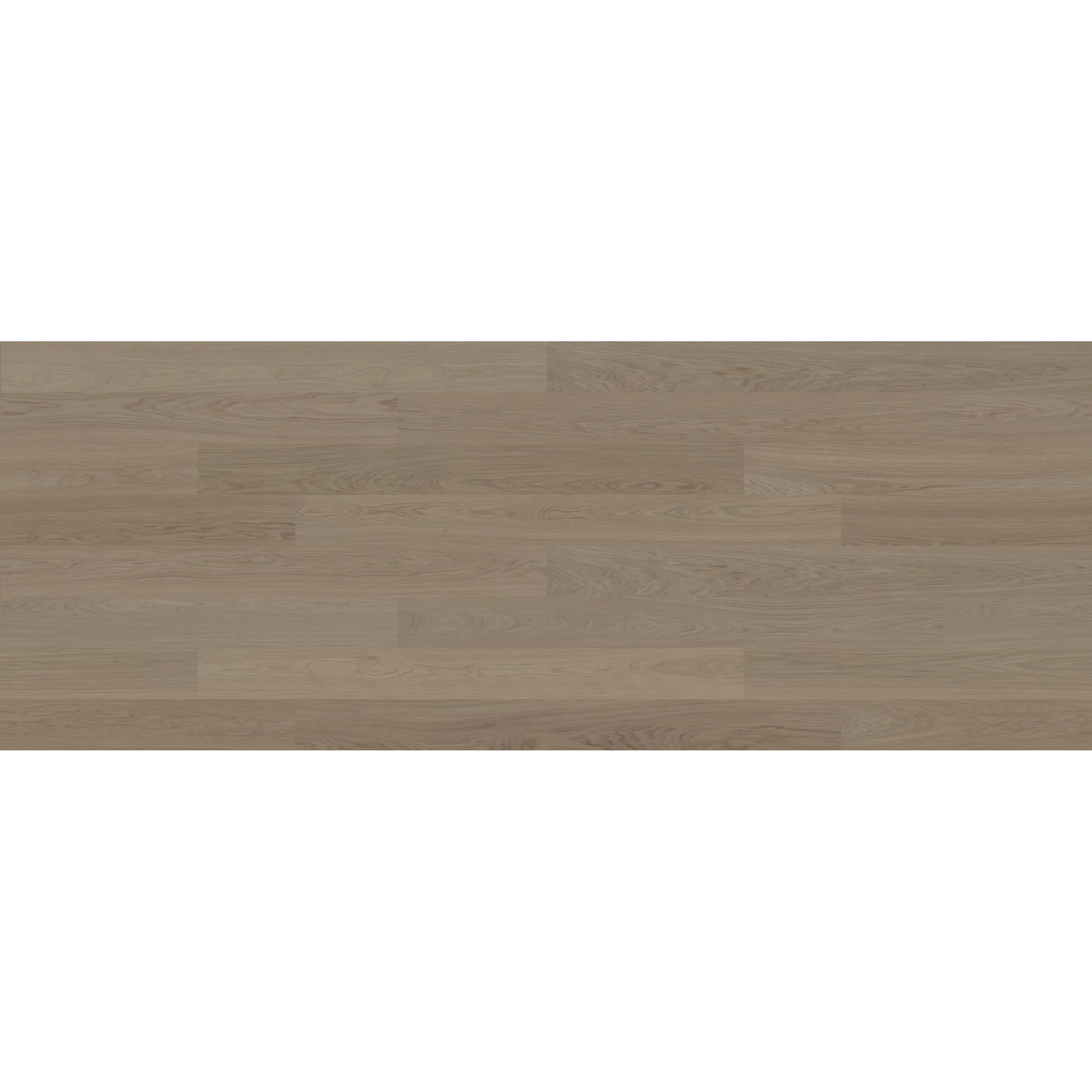 GRYBY 3.0 XL