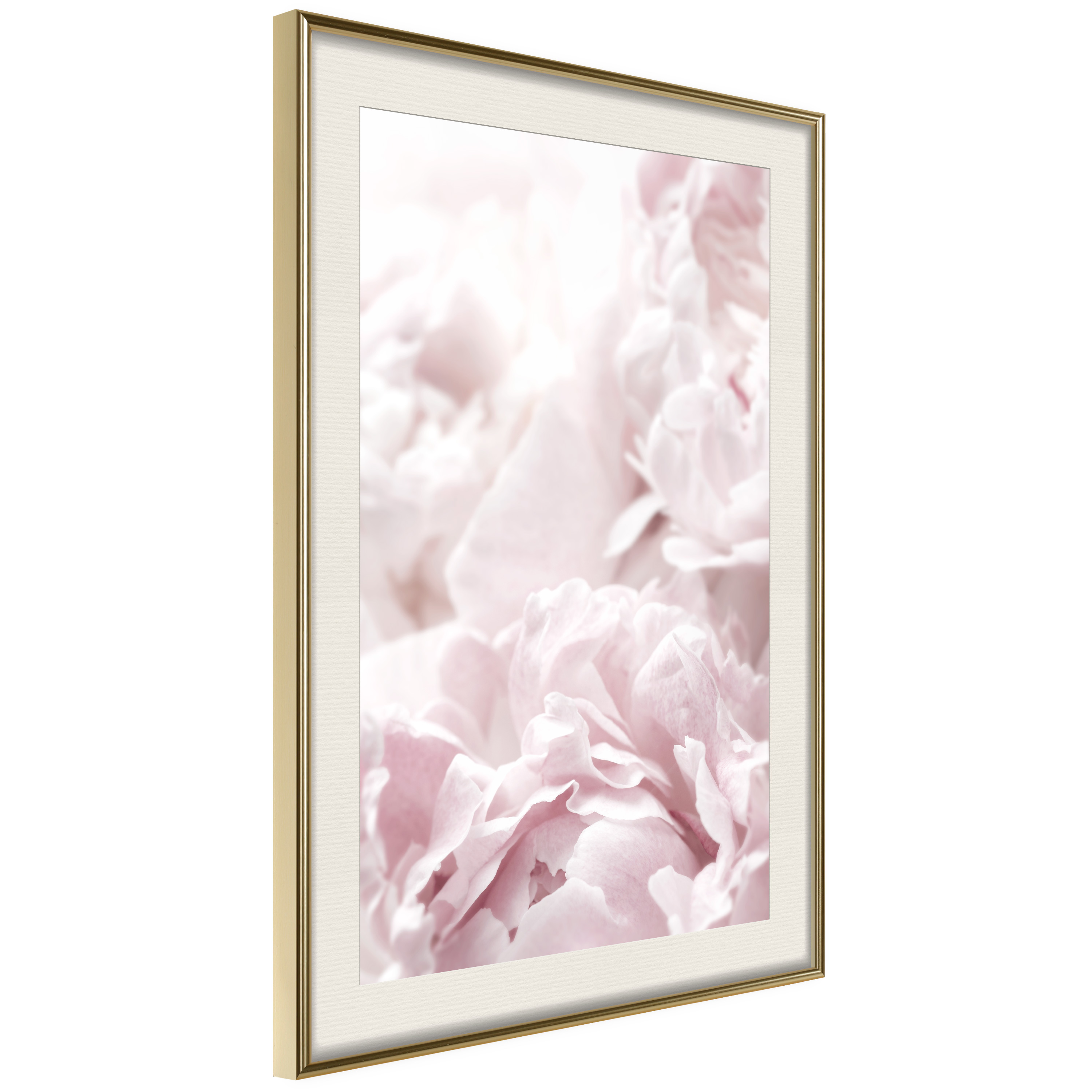Affisch - Fluffy Peonies [Poster] 40x60 Guld ram med passepartout, 40x60 cm