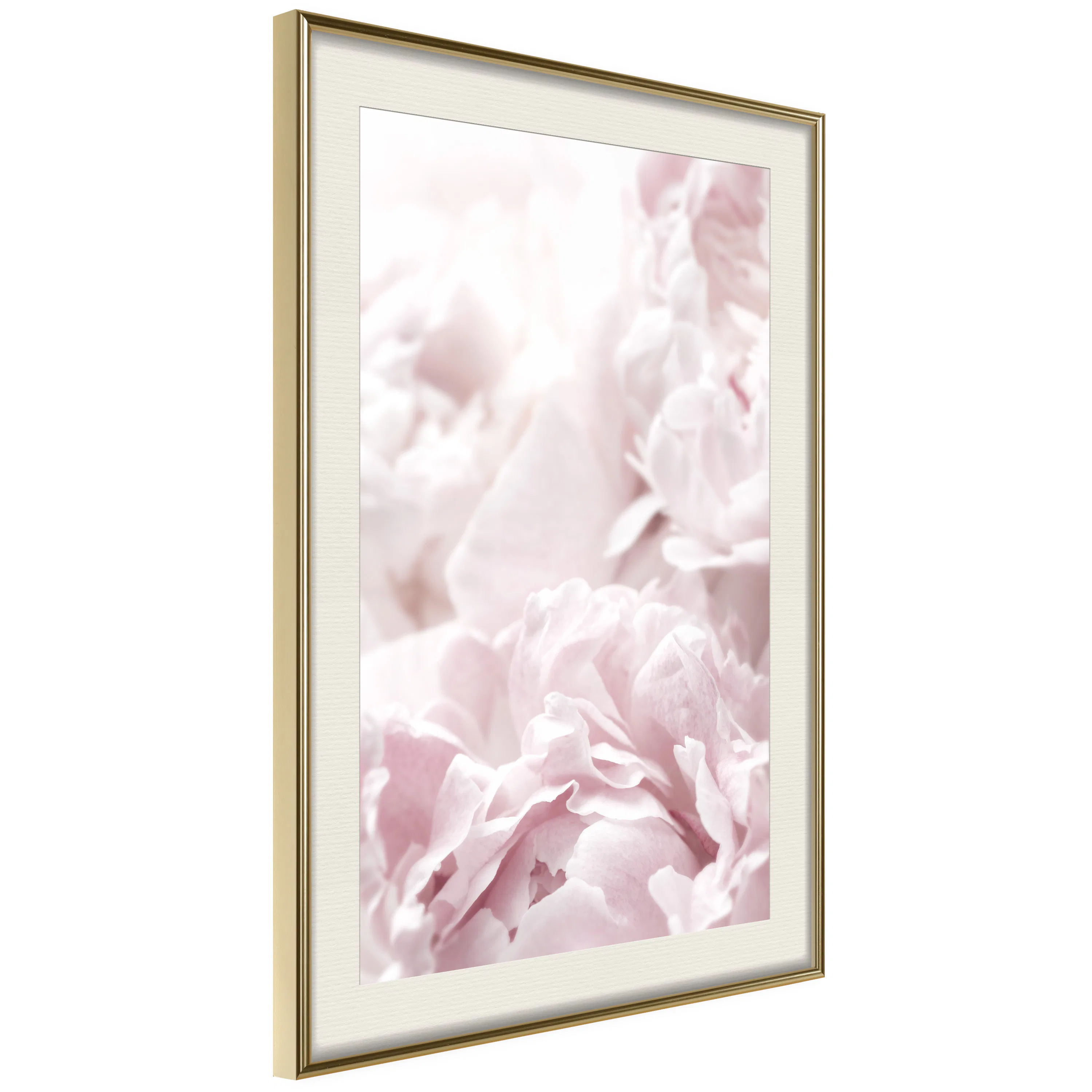 Poster Artgeist Affisch Fluffy Peonies