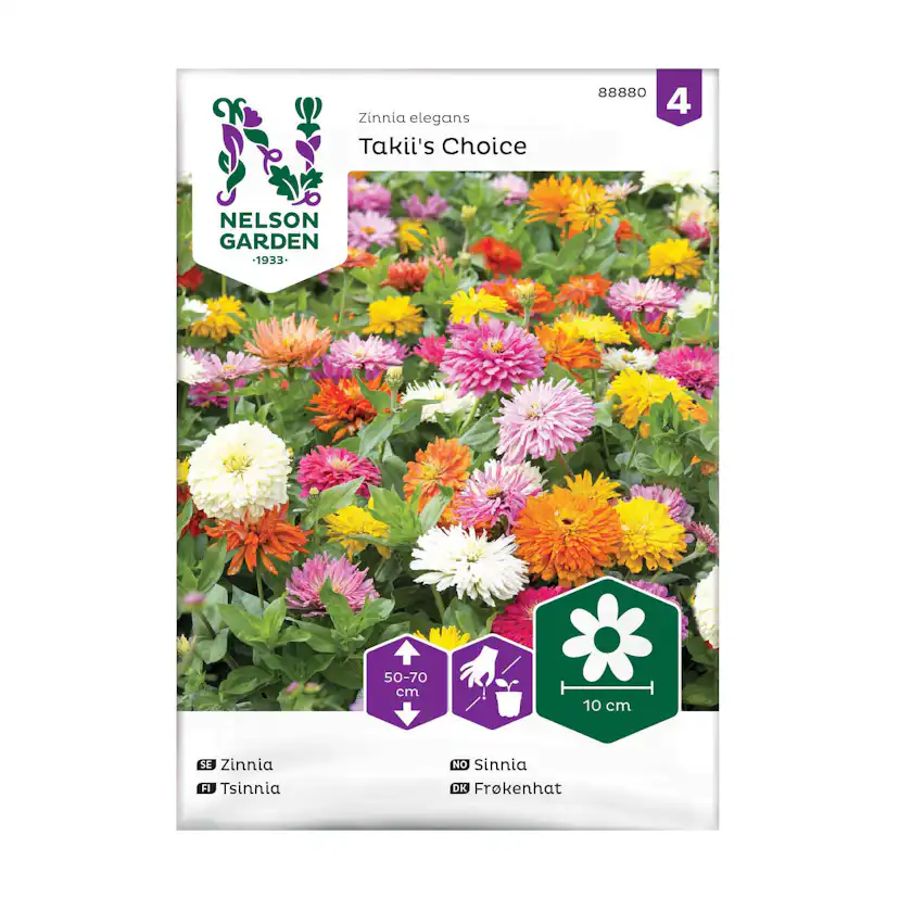 Frö Zinnia Nelson Garden Takiis Choice