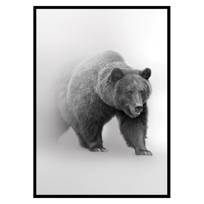 Poster Gallerix Faded Bear