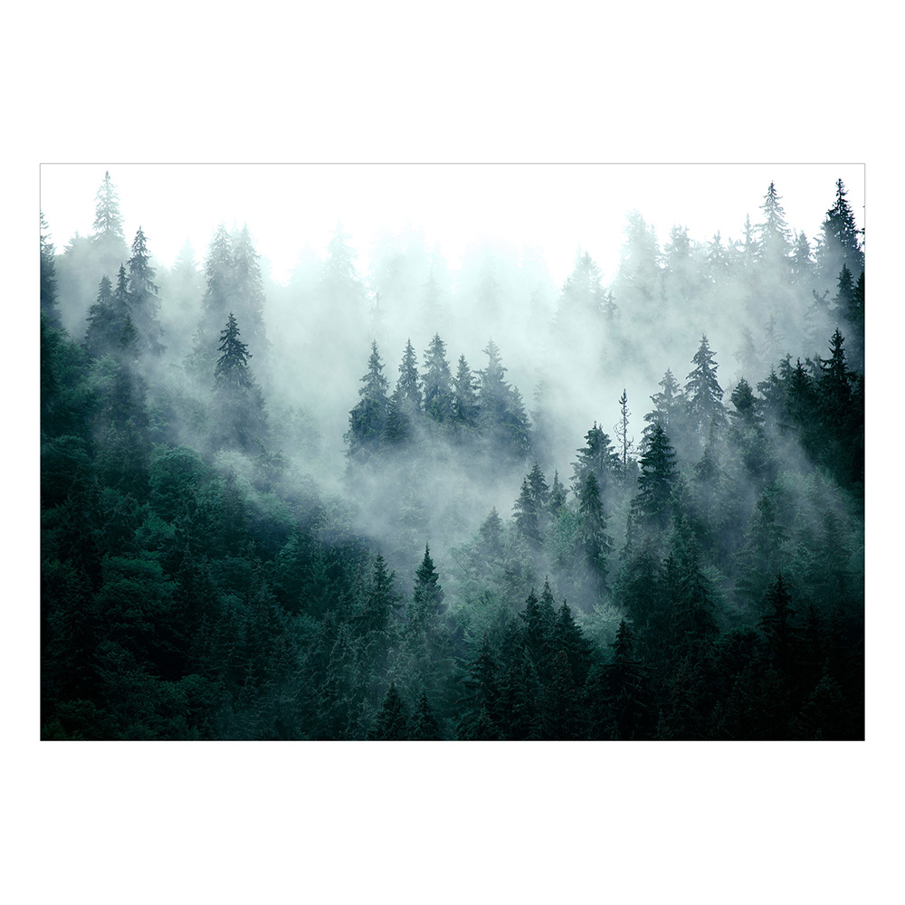 Fototapet Arkiio Mountain Forest (Dark Green)