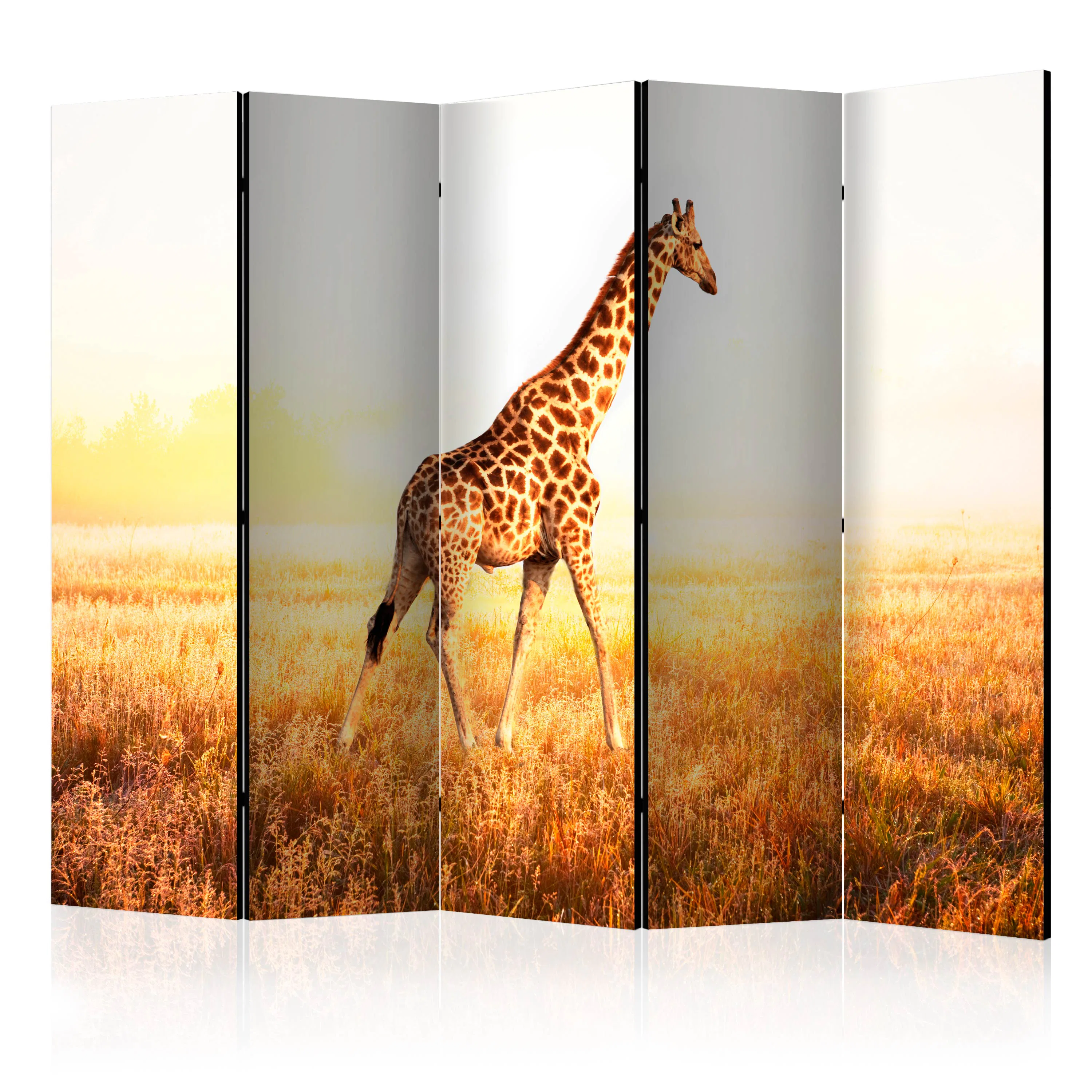 Rumsavdelare Arkiio Giraffe Walk II 225x172 cm