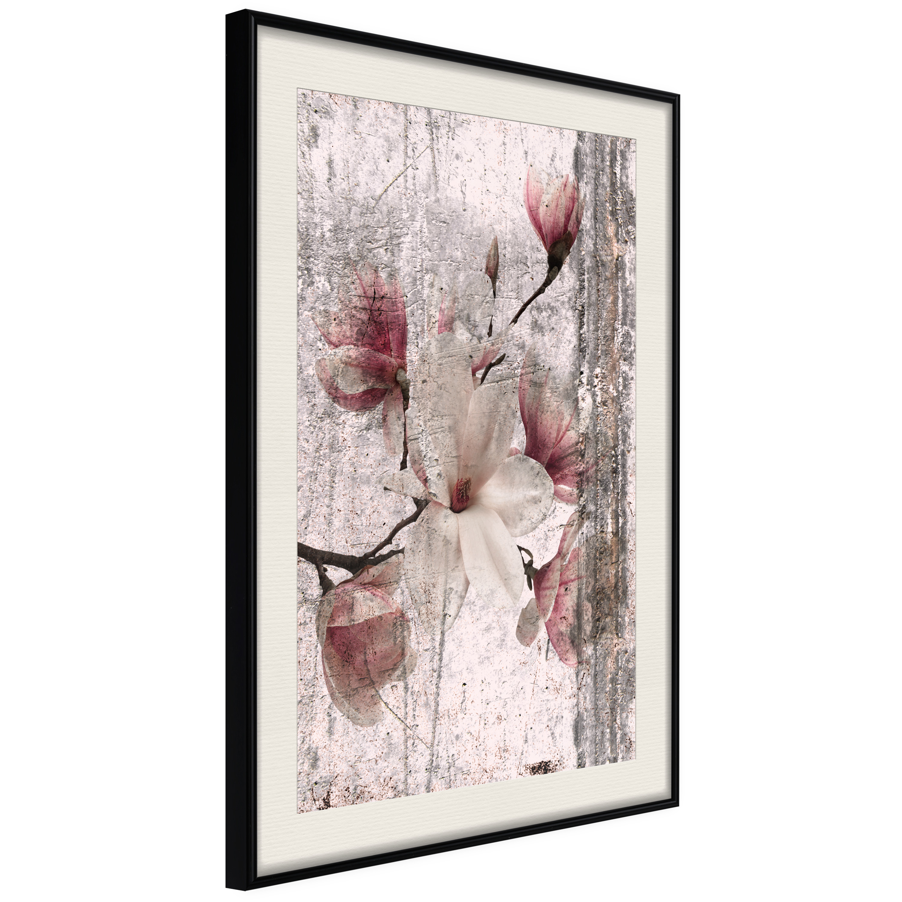 Affisch - Memorial Magnolia [Poster] 20x30 Svart ram med passepartout, 20x30 cm