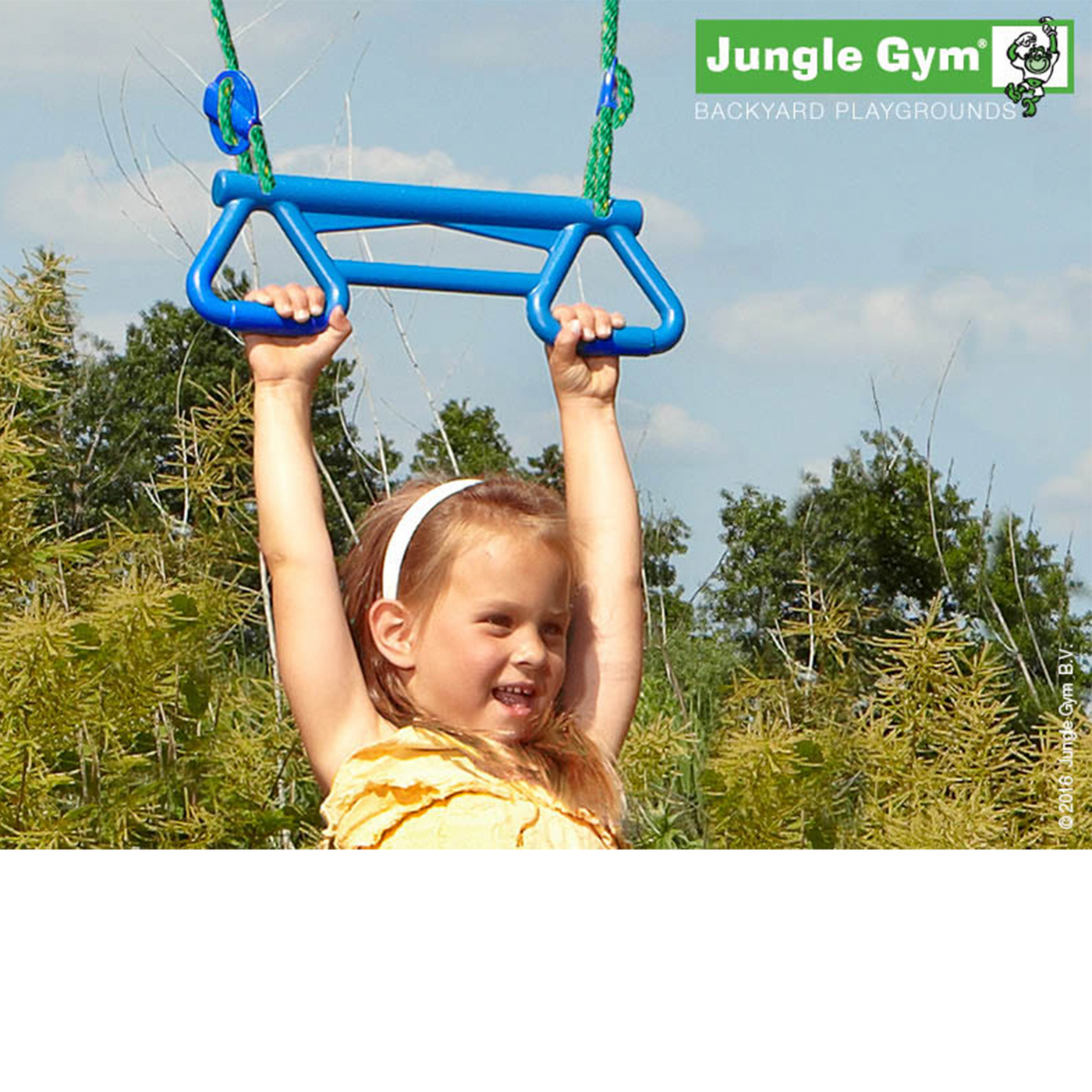 Monkeybar Jungle Gym