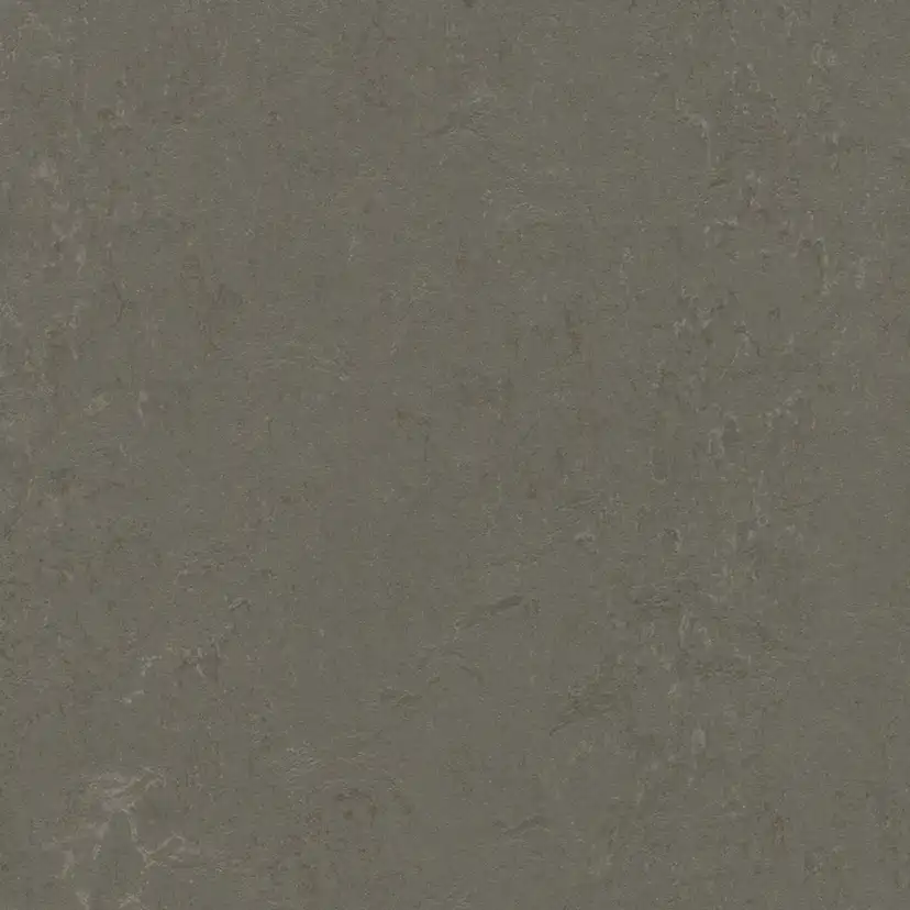 Linoleumgolv Forbo Marmoleum Click Nebula 60x30 cm