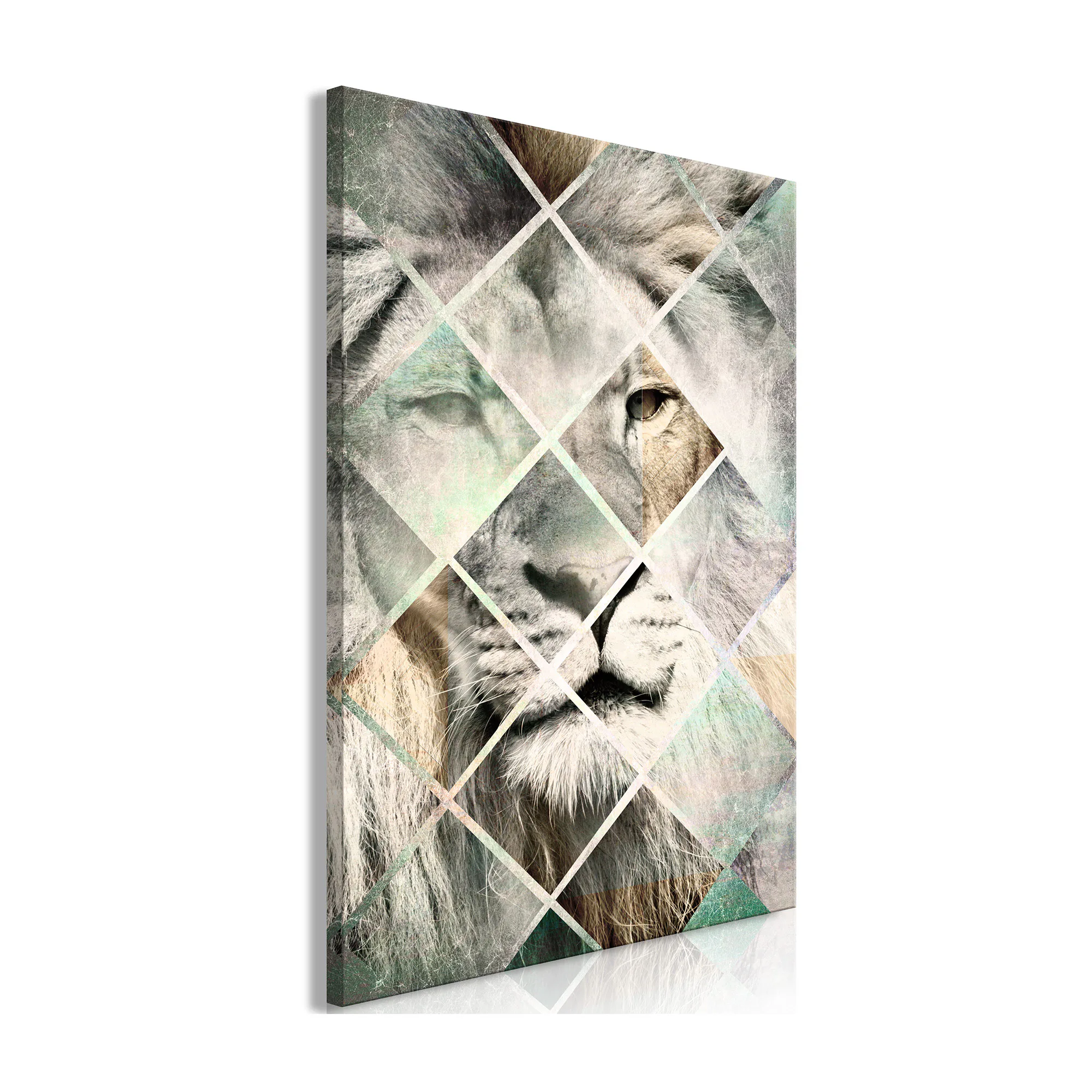 Tavla Arkiio Lion on The Chessboard